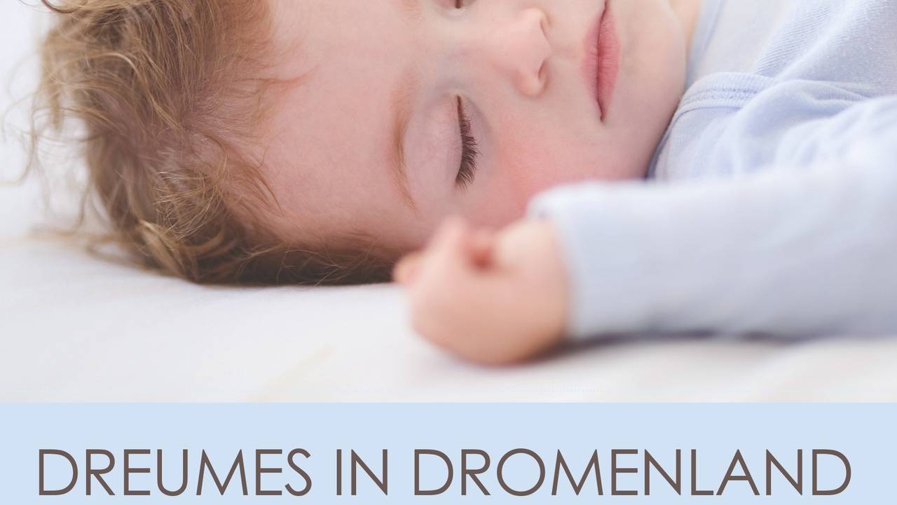 Dreumes in dromenland