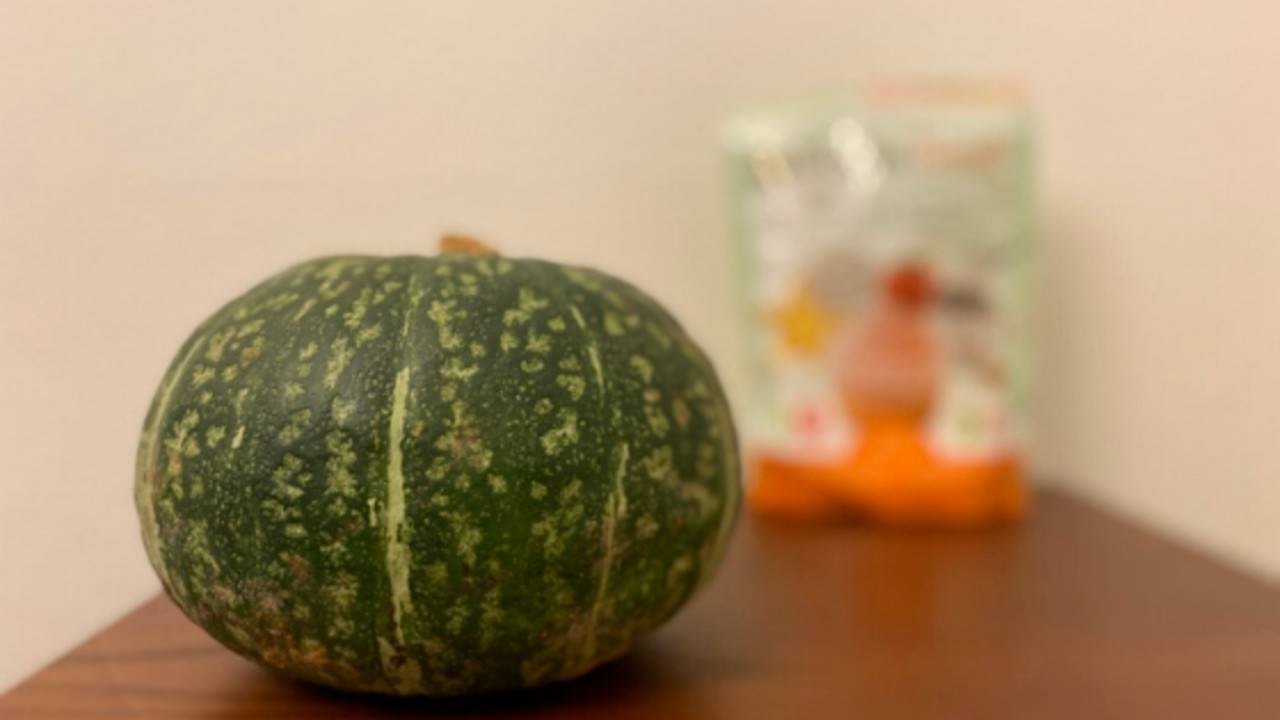 Kabocha Extract The Best Kept Secret in KetoSweeteners?