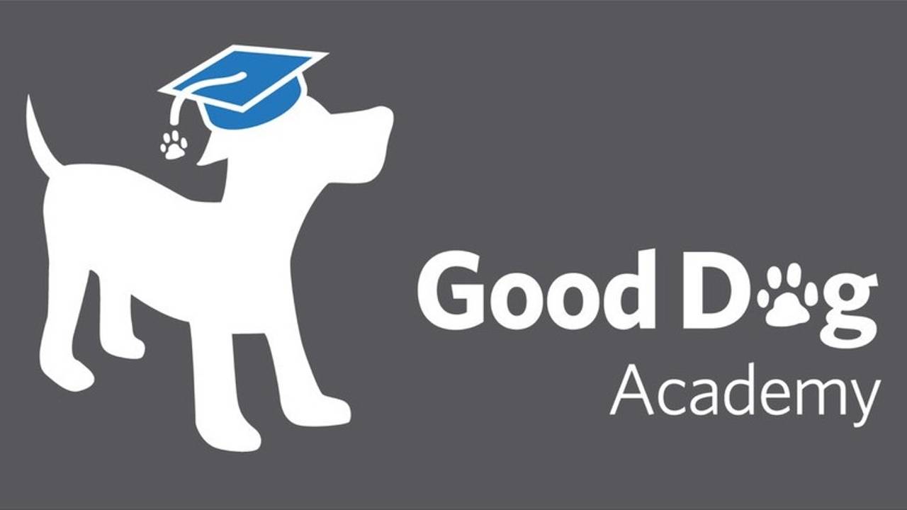 How To A Dog Trainer Online Good Dog Academy