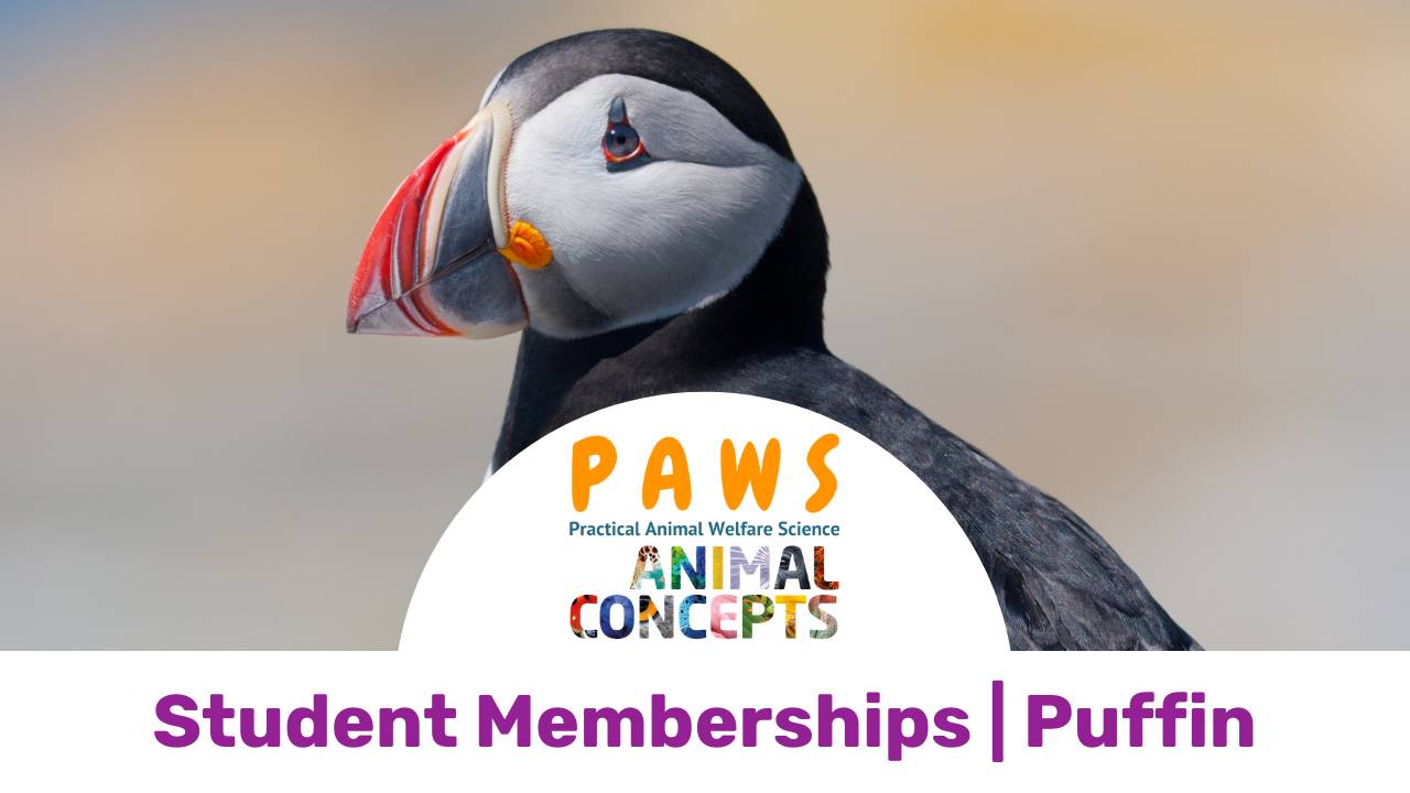 Puffin case study 06 image