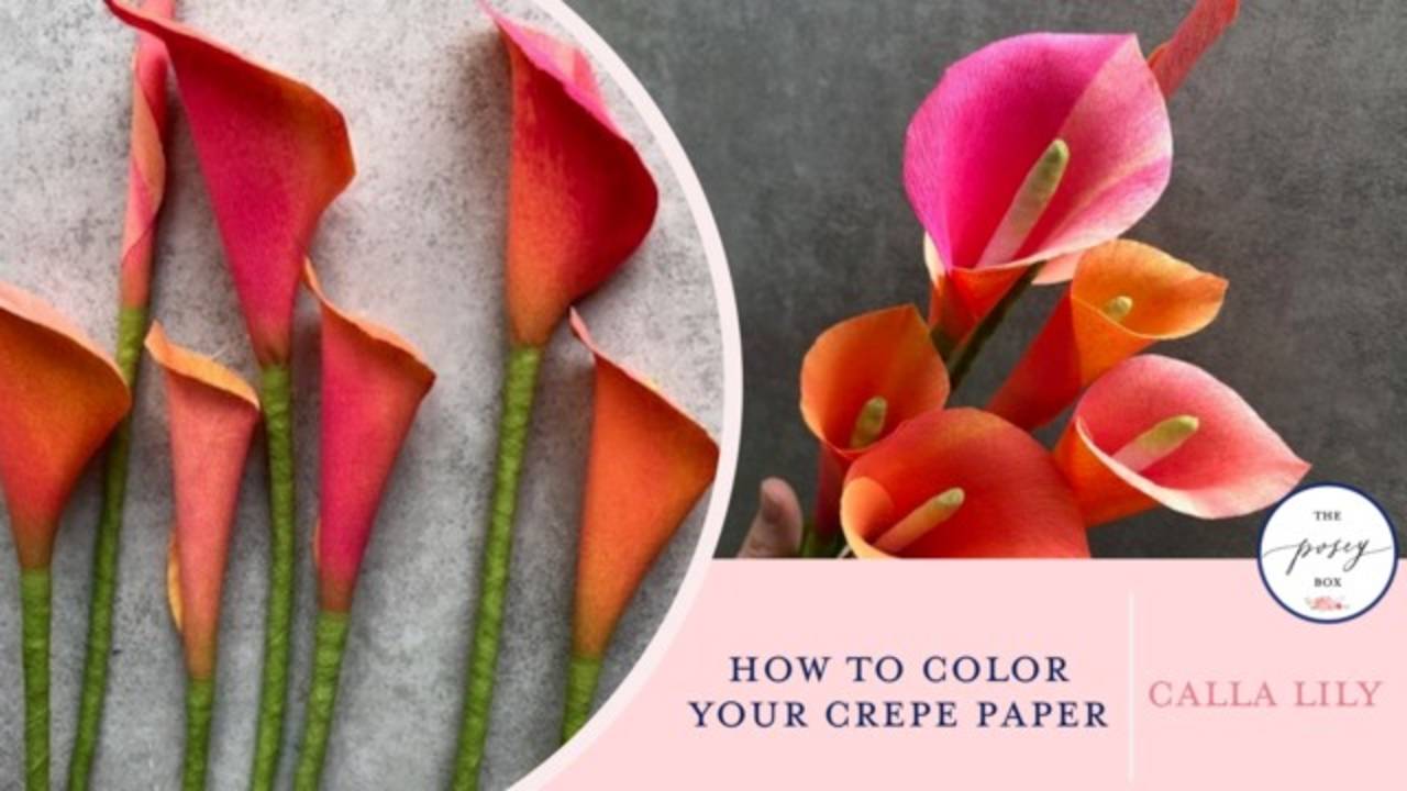 How to Color Your Crepe Paper with Design Master