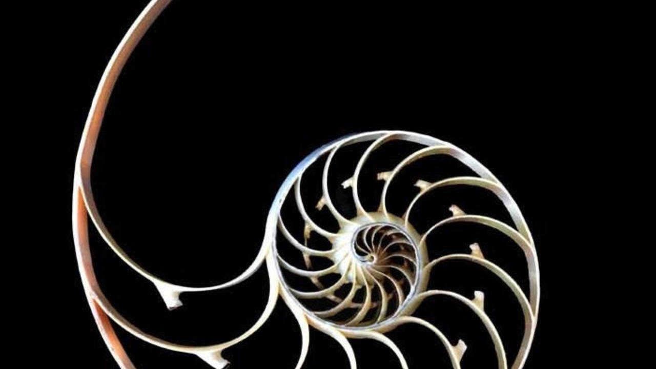 www.resonancescience.org