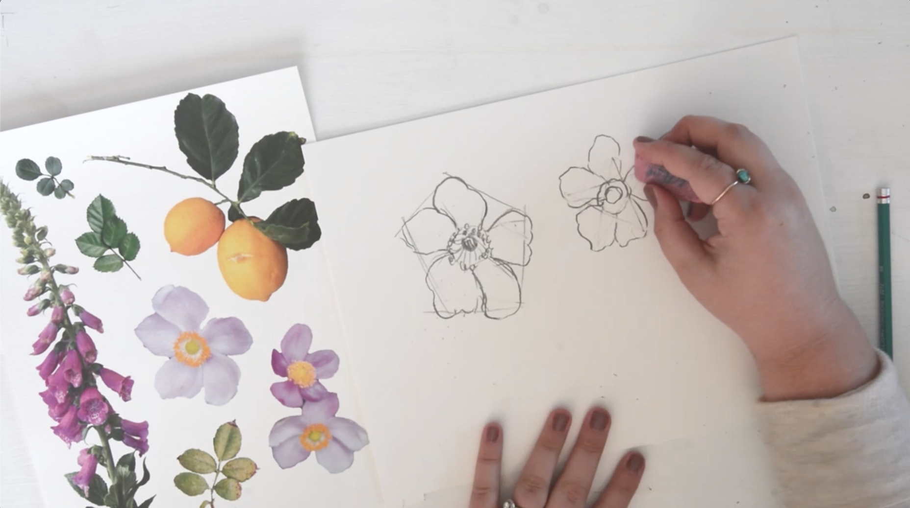 How To Draw A Five Petal Flower