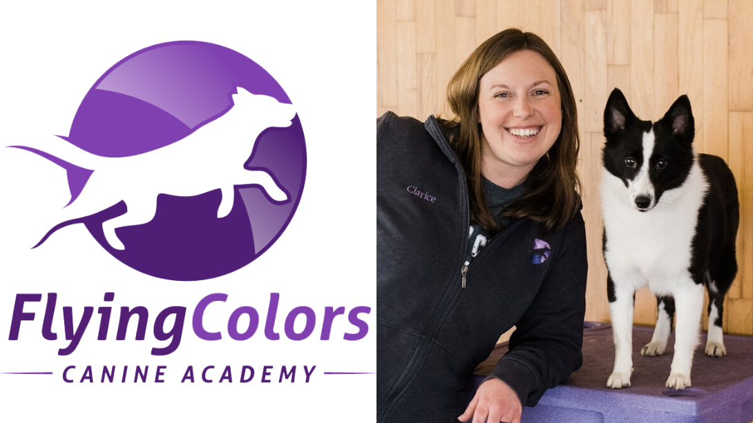 flying colors canine