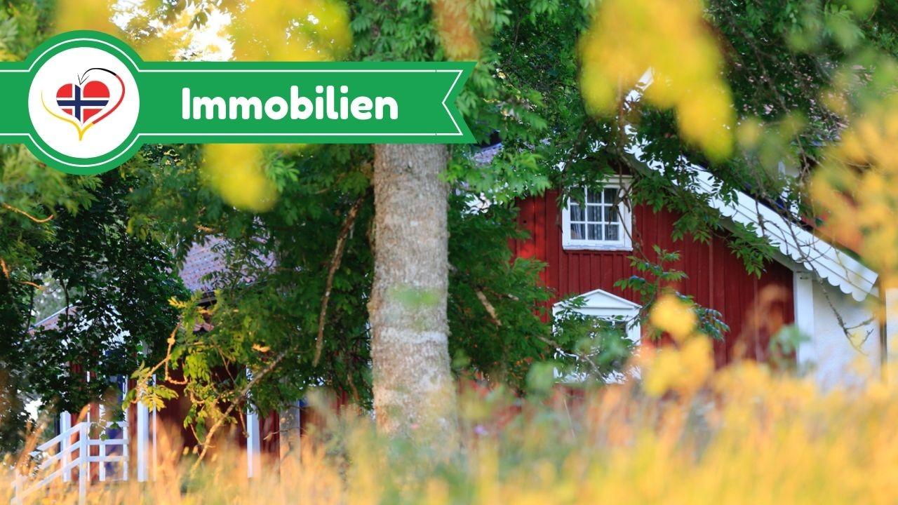 Immobilien in Norwegen
