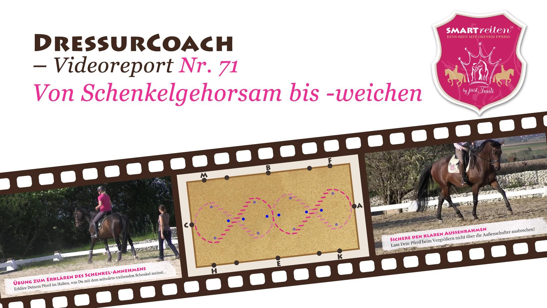 Von Schenkelgehorsam bis Schenkelweichen