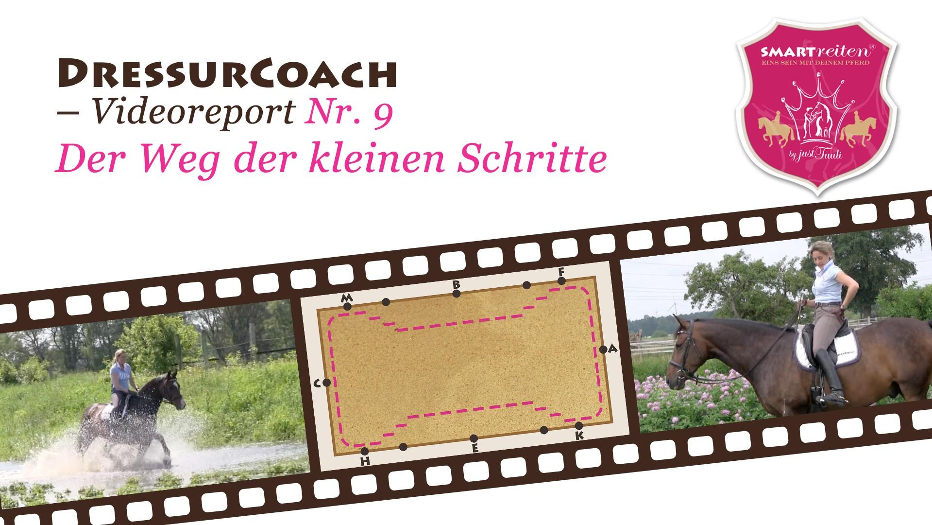 Der Weg der kleinen Schritte