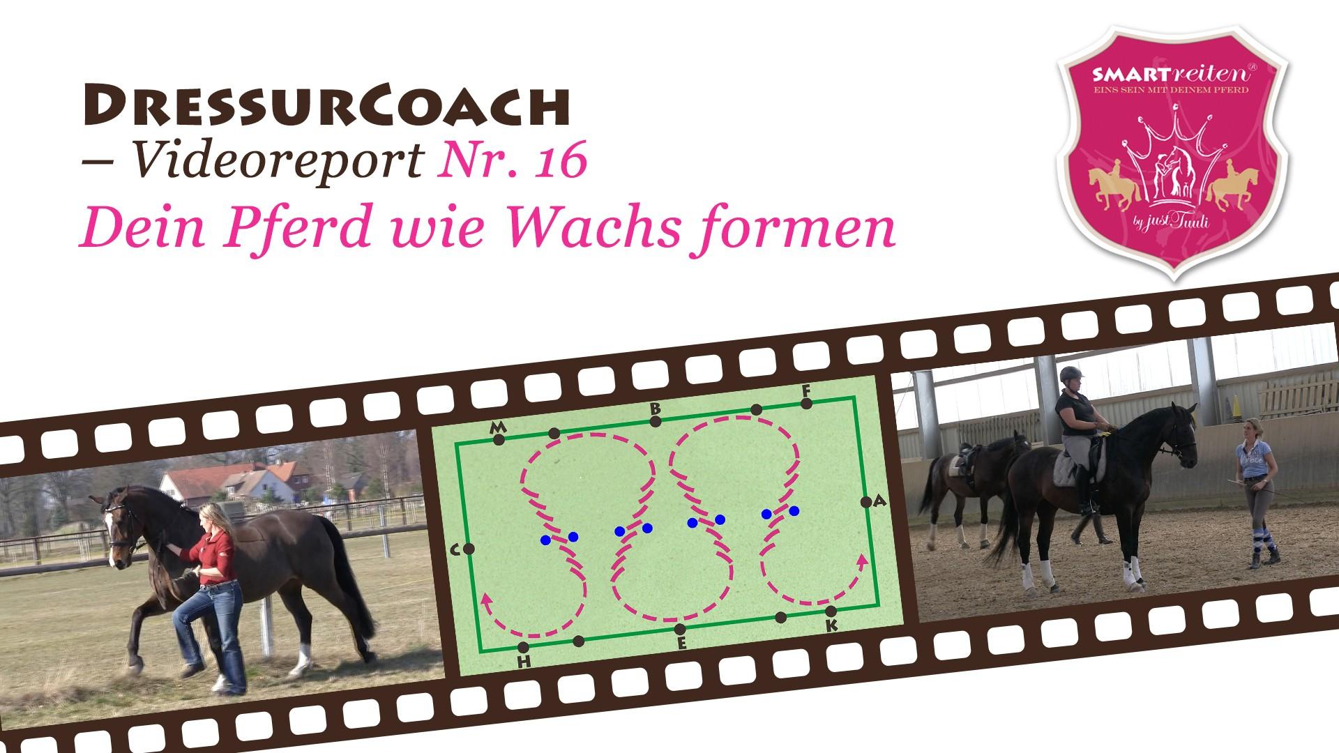 Dein Pferd formen wie Wachs