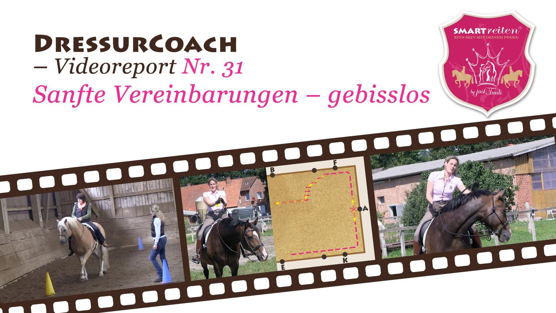 Sanfte Vereinbarungen – Gebisslos
