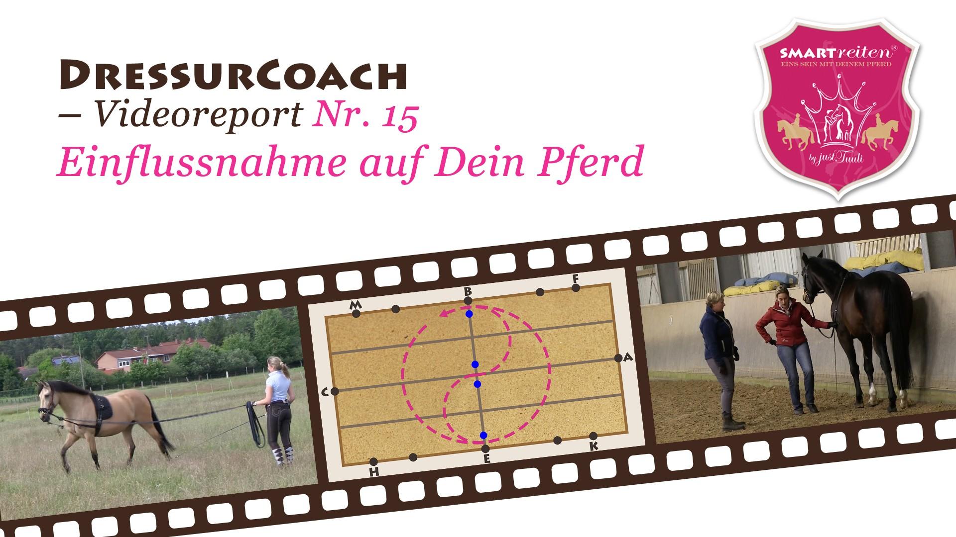 Einflussnahme auf Dein Pferd