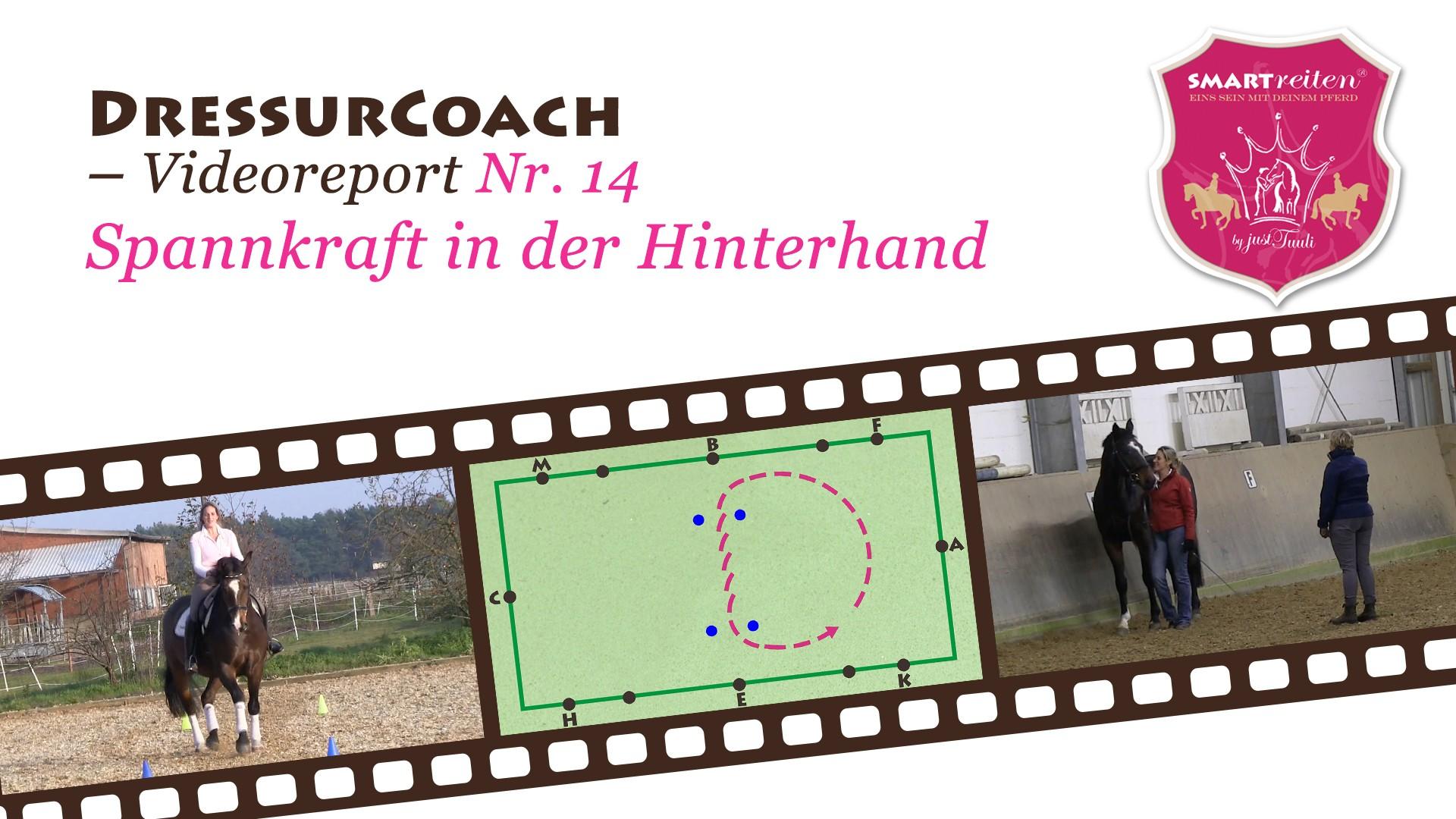 Spannkraft in die Hinterhand