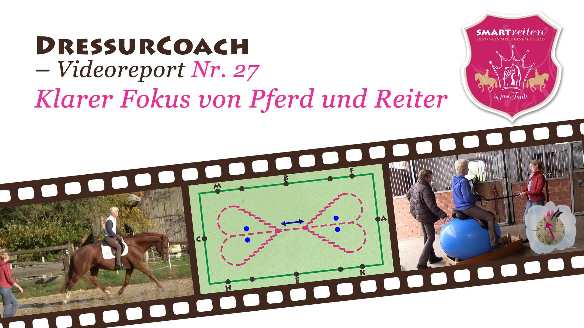 Klarer Fokus für Pferd und Reiter