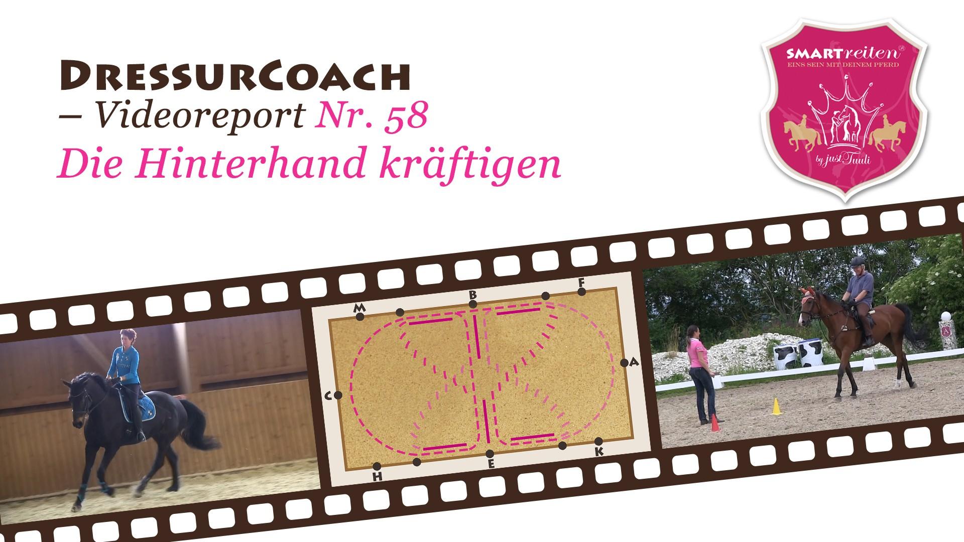 Die Hinterhand kräftigen