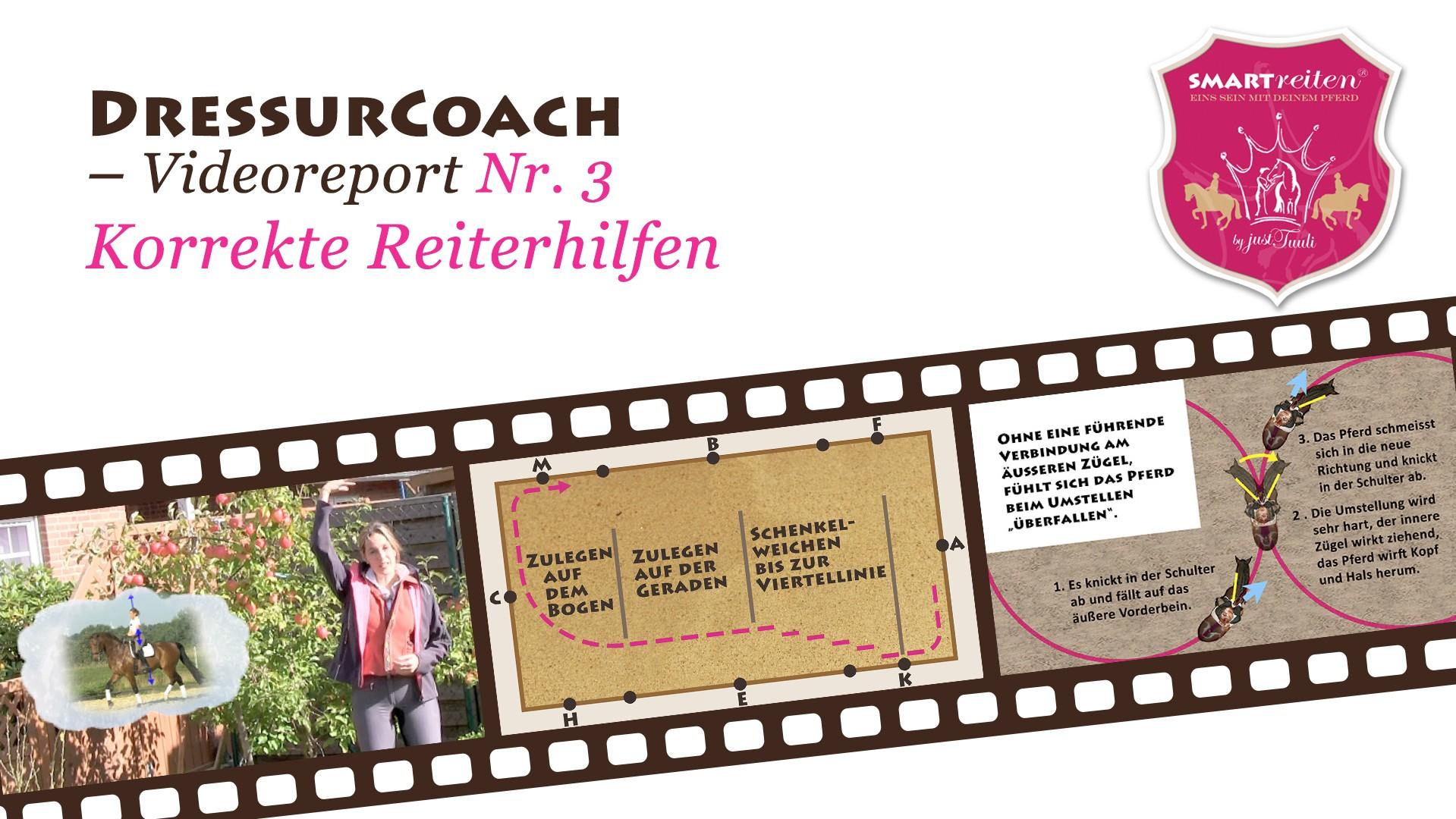 Korekte Reiterhilfen