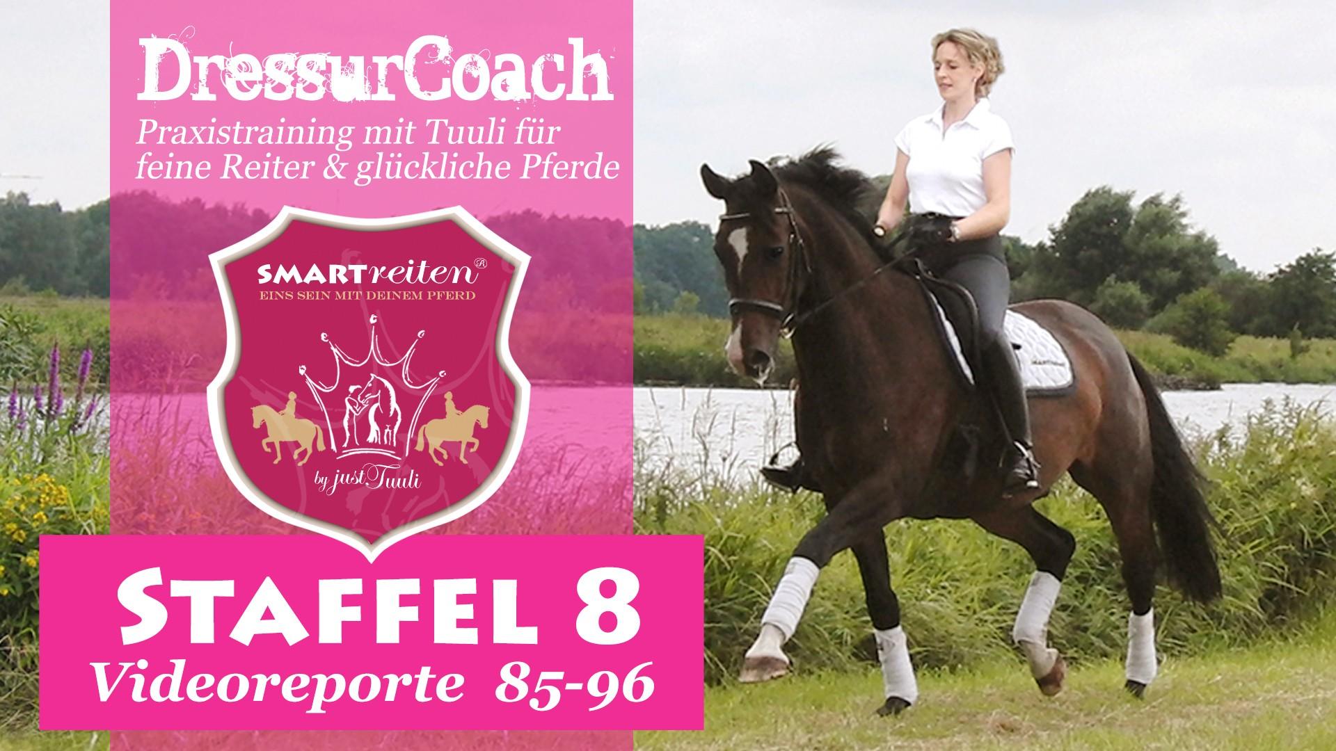 DressurCoach Staffel 8