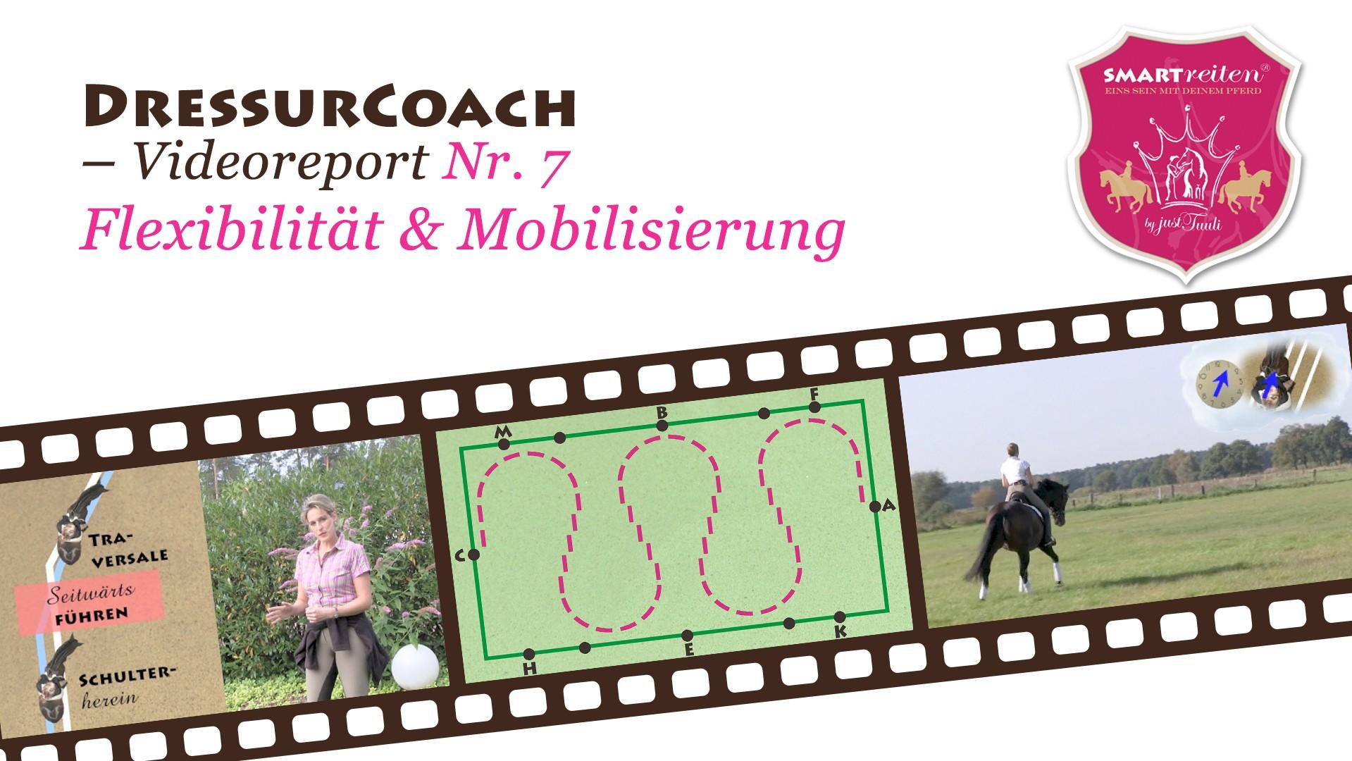Flexibilität & Mobilisierung