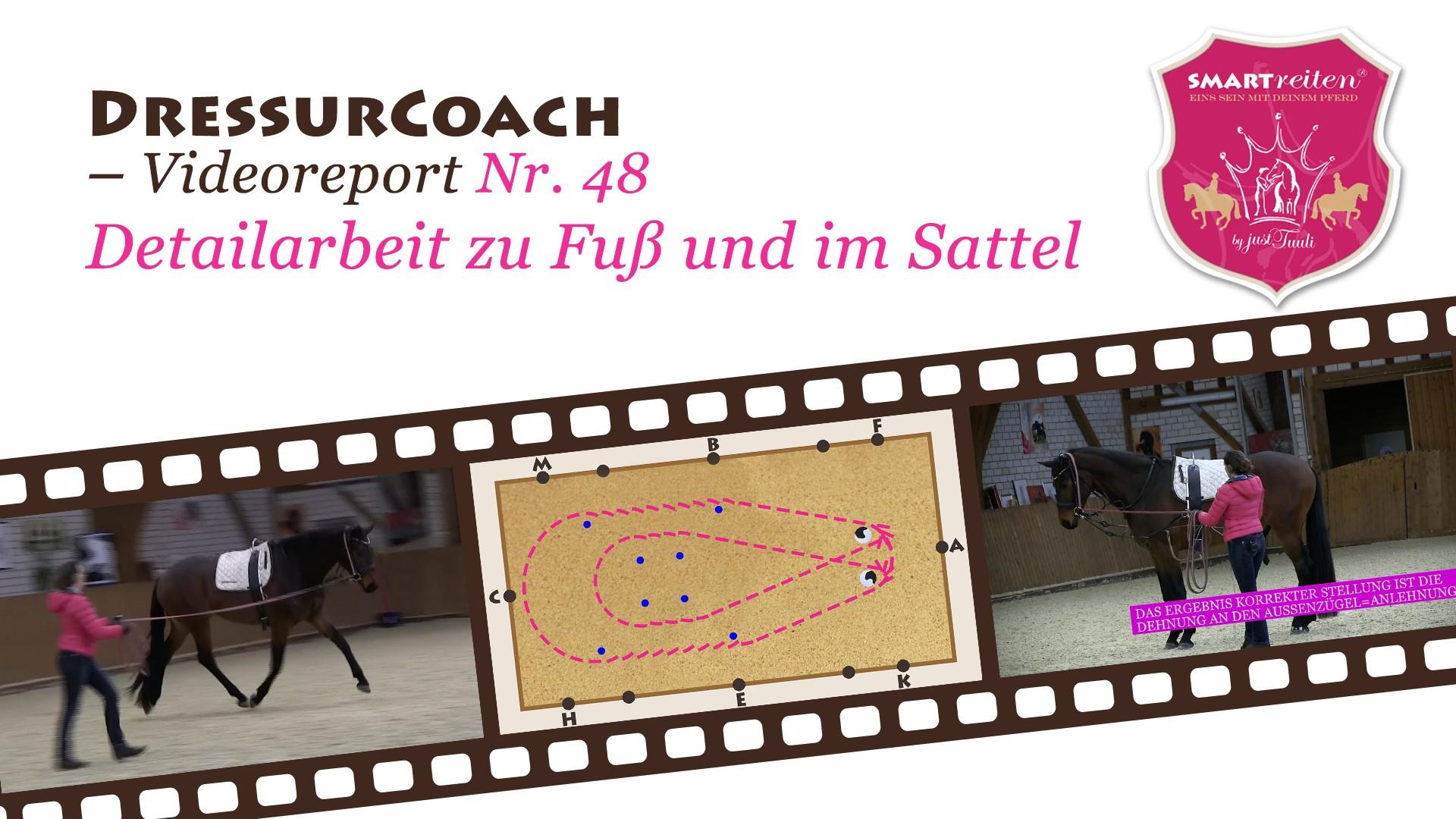 Detailarbeit zu Fuß und im Sattel