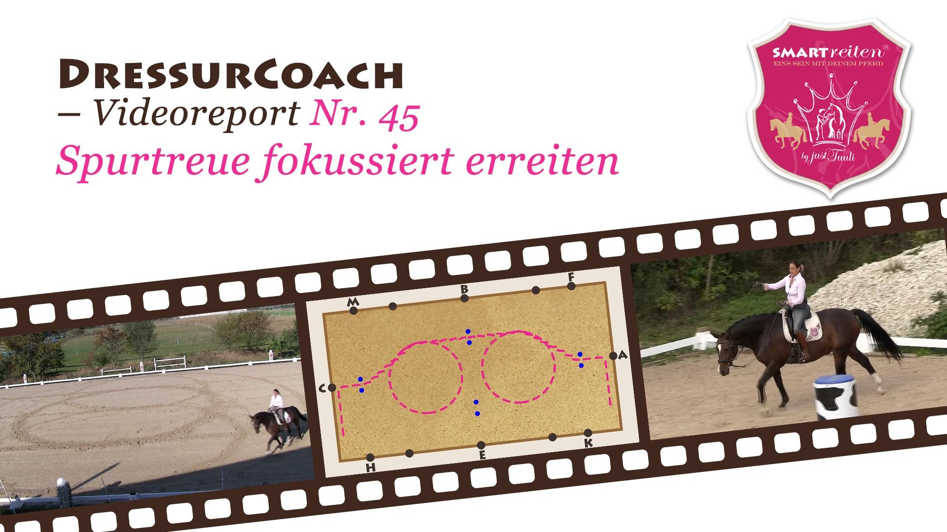Spurtreue fokussiert erreiten