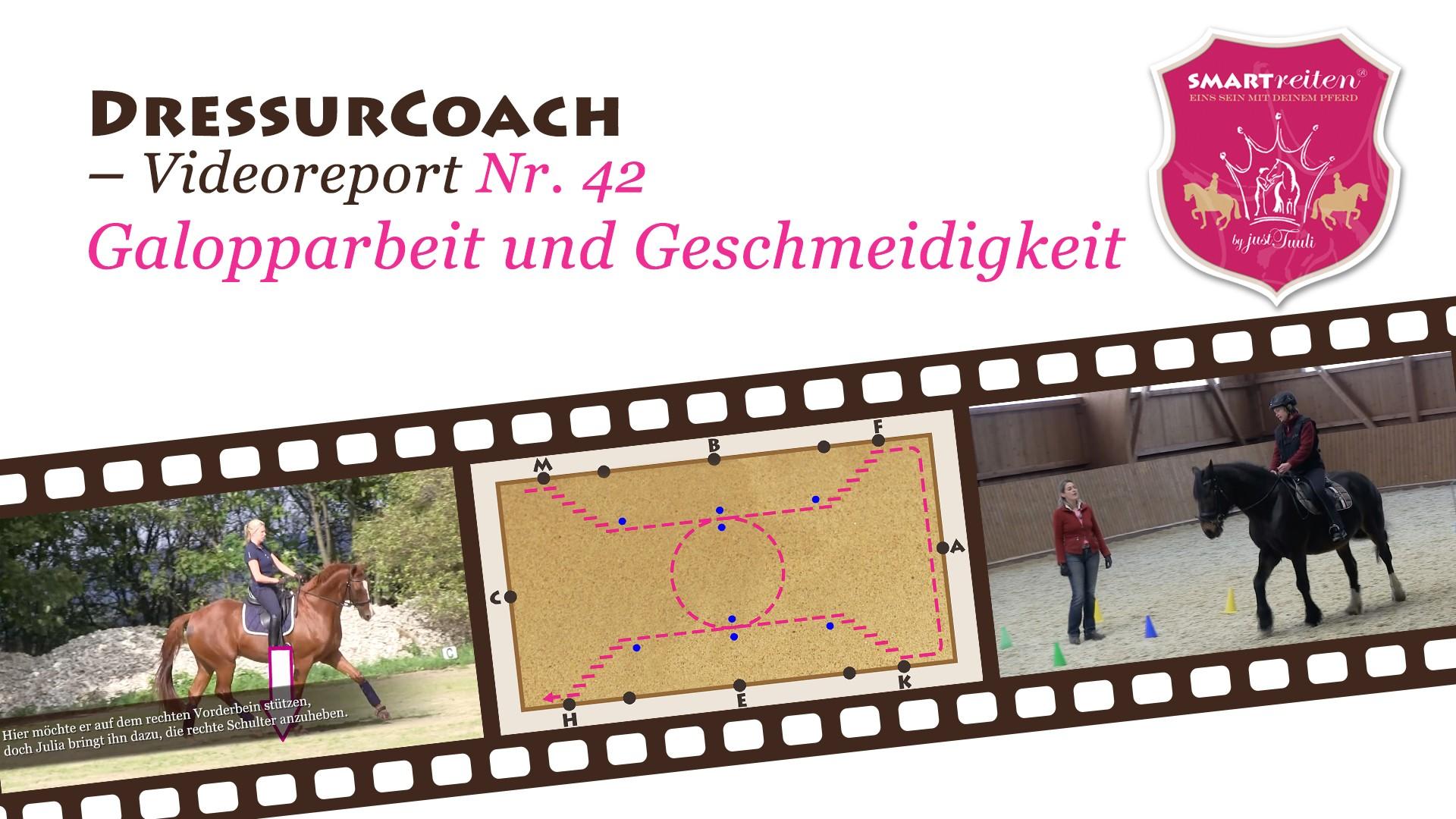 Übungen für Galopparbeit und Geschmeidigkeit