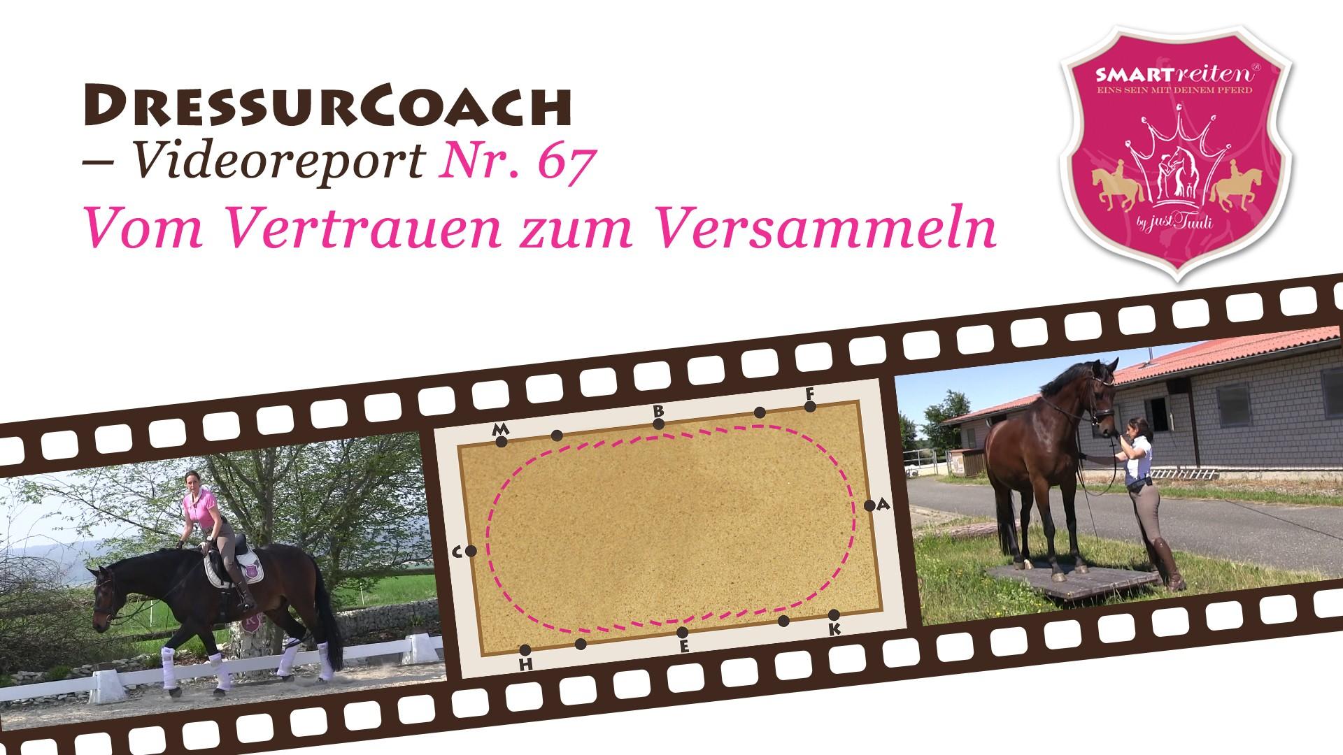 Vom Vertrauen zum Versammeln