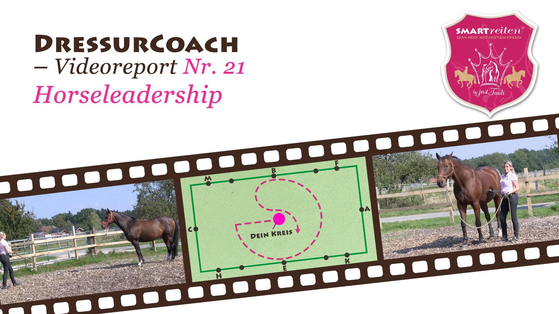 Horseleadership
