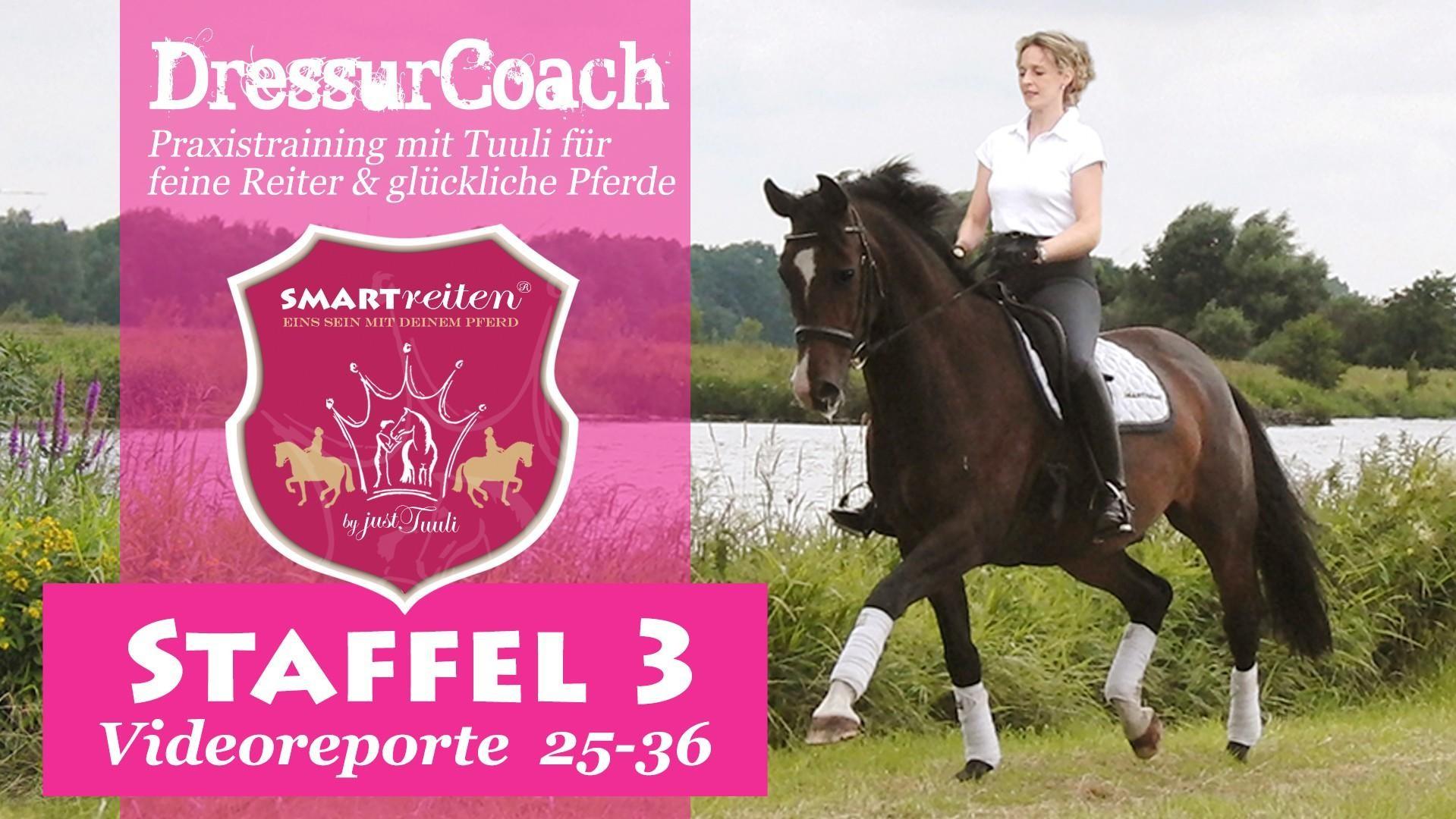 DressurCoach Staffel 3