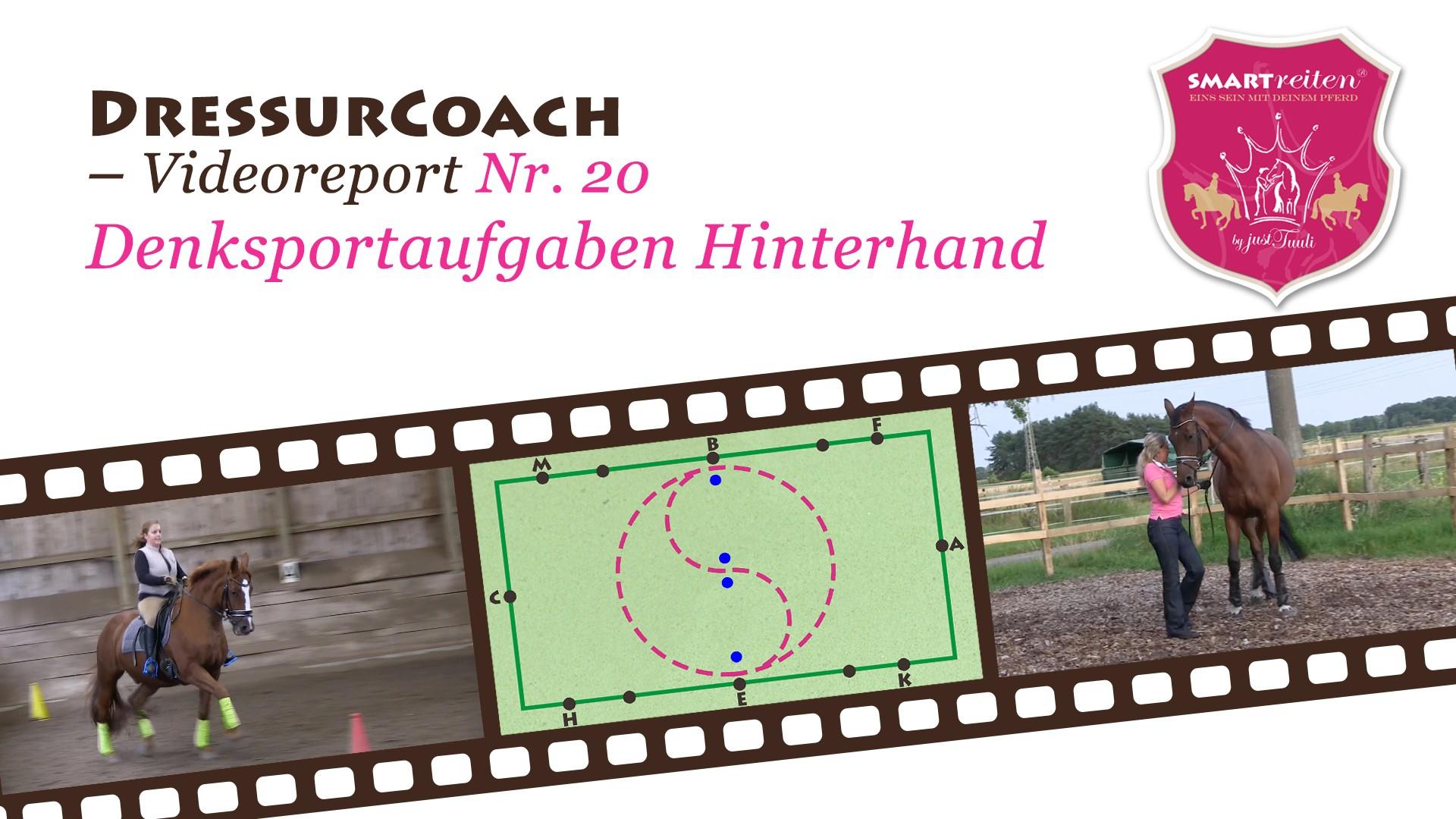 Denksportaufgaben für mehr Hinterhandaktivität
