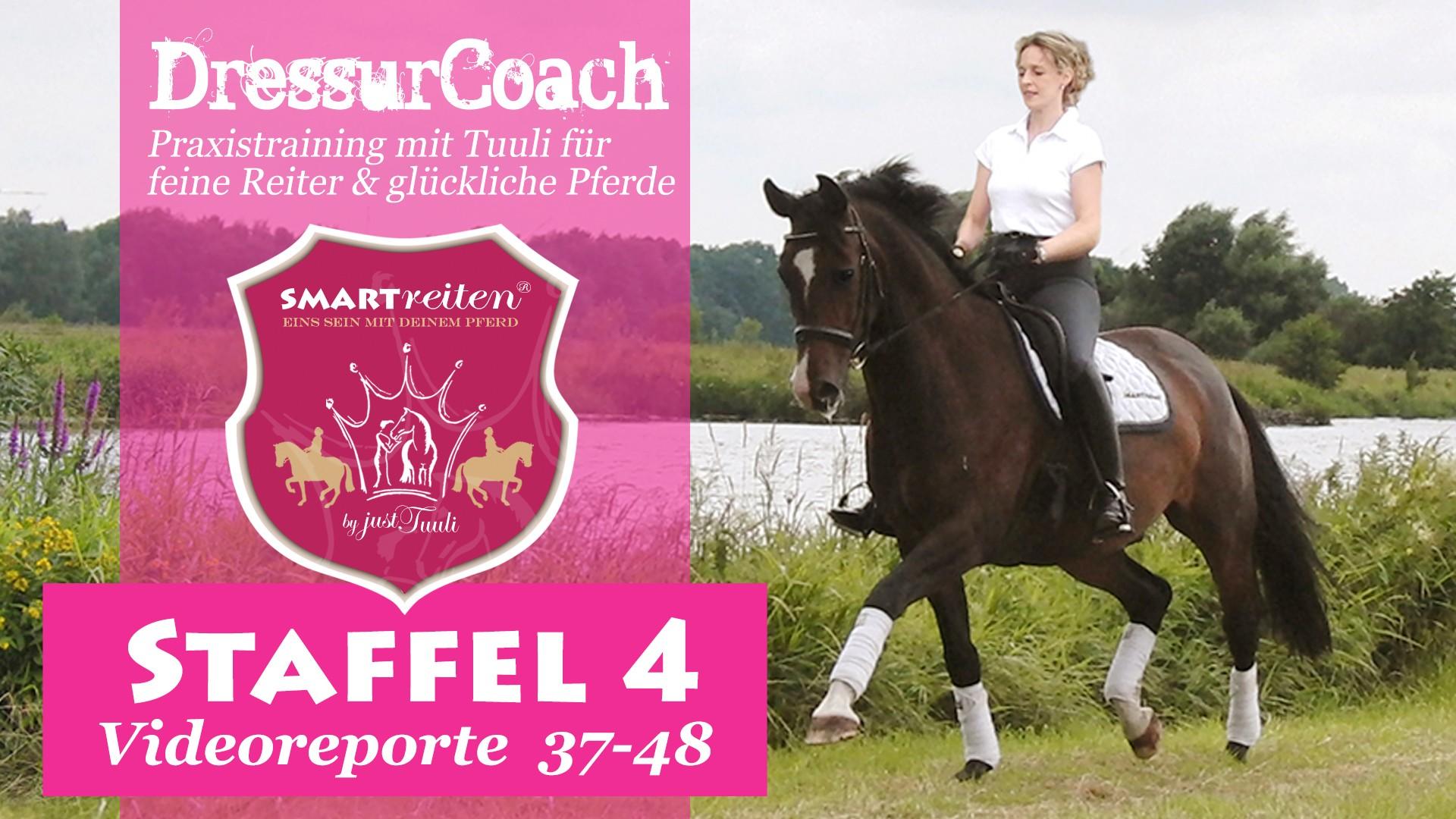 DressurCoach Staffel 4