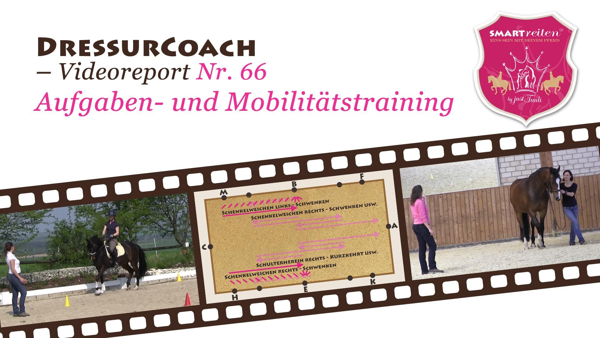 Aufgaben- und Mobilitätstraining