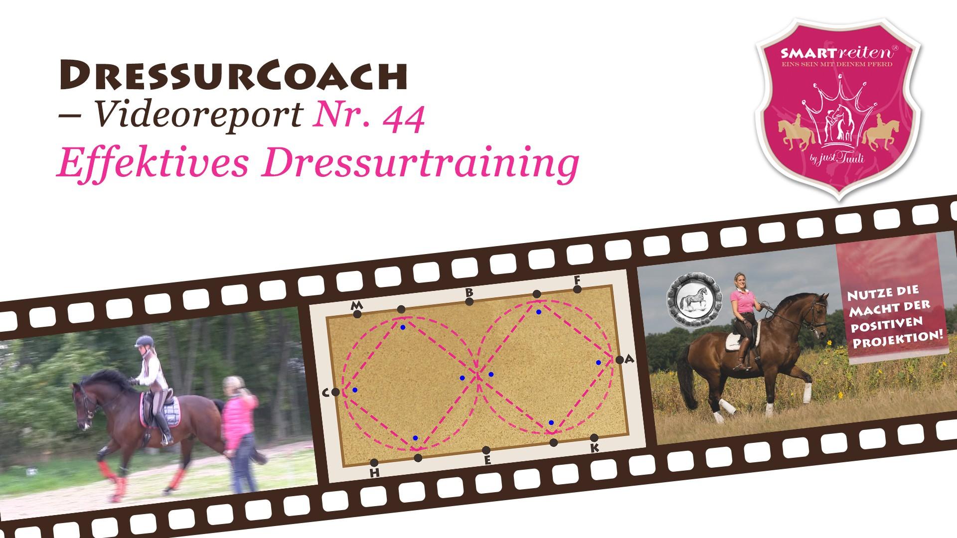 Denksportaufgaben für effektives Dressurtraining