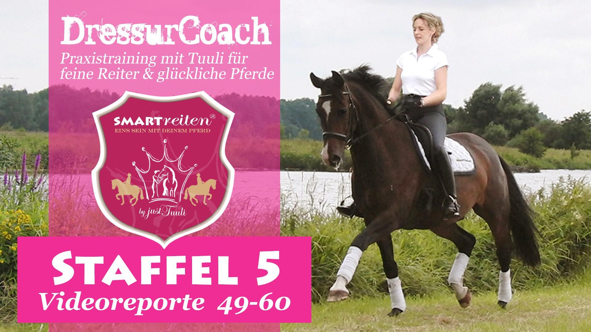 DressurCoach Staffel 5