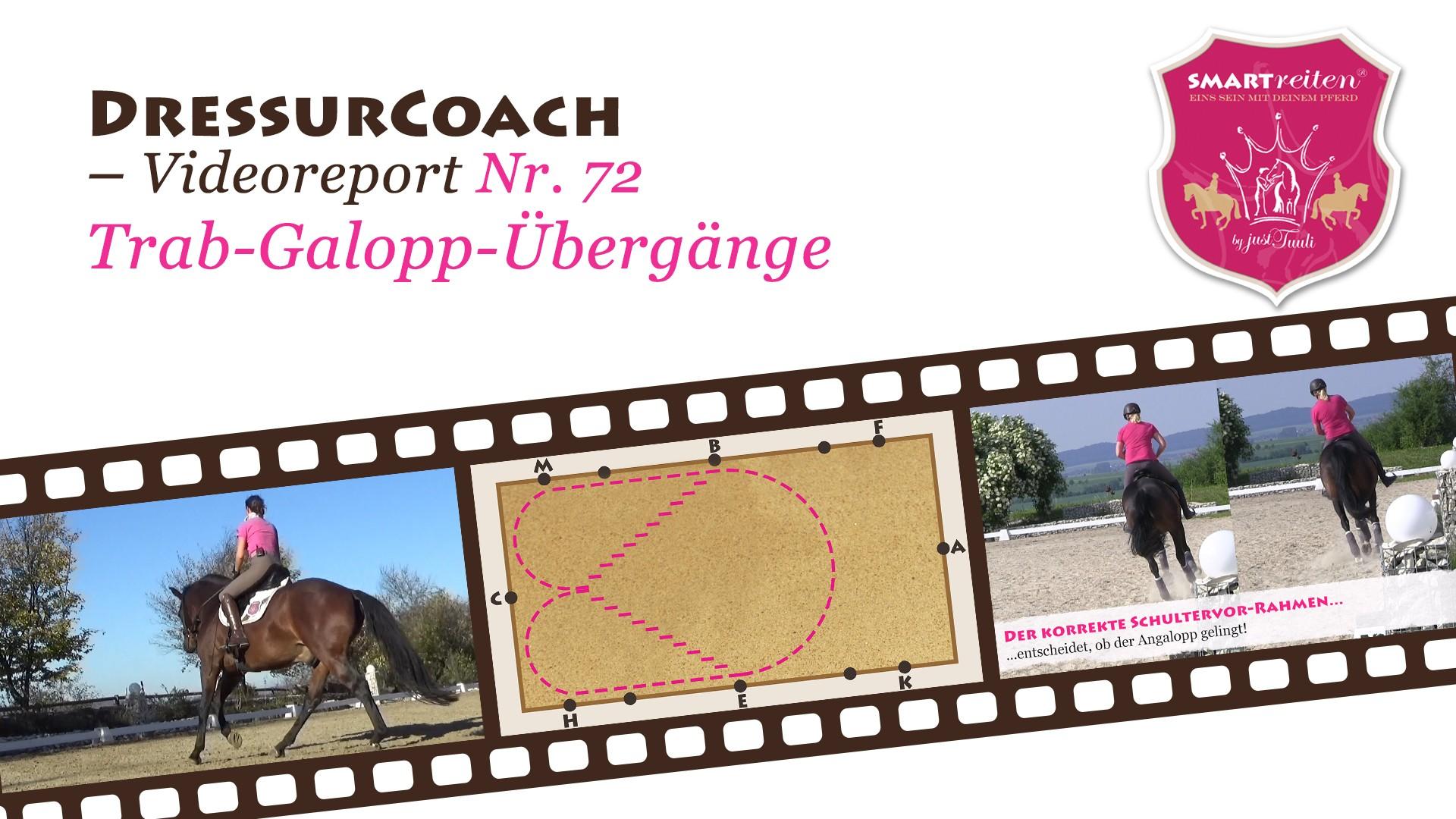 Fluffige Trab-Galopp-Übergänge