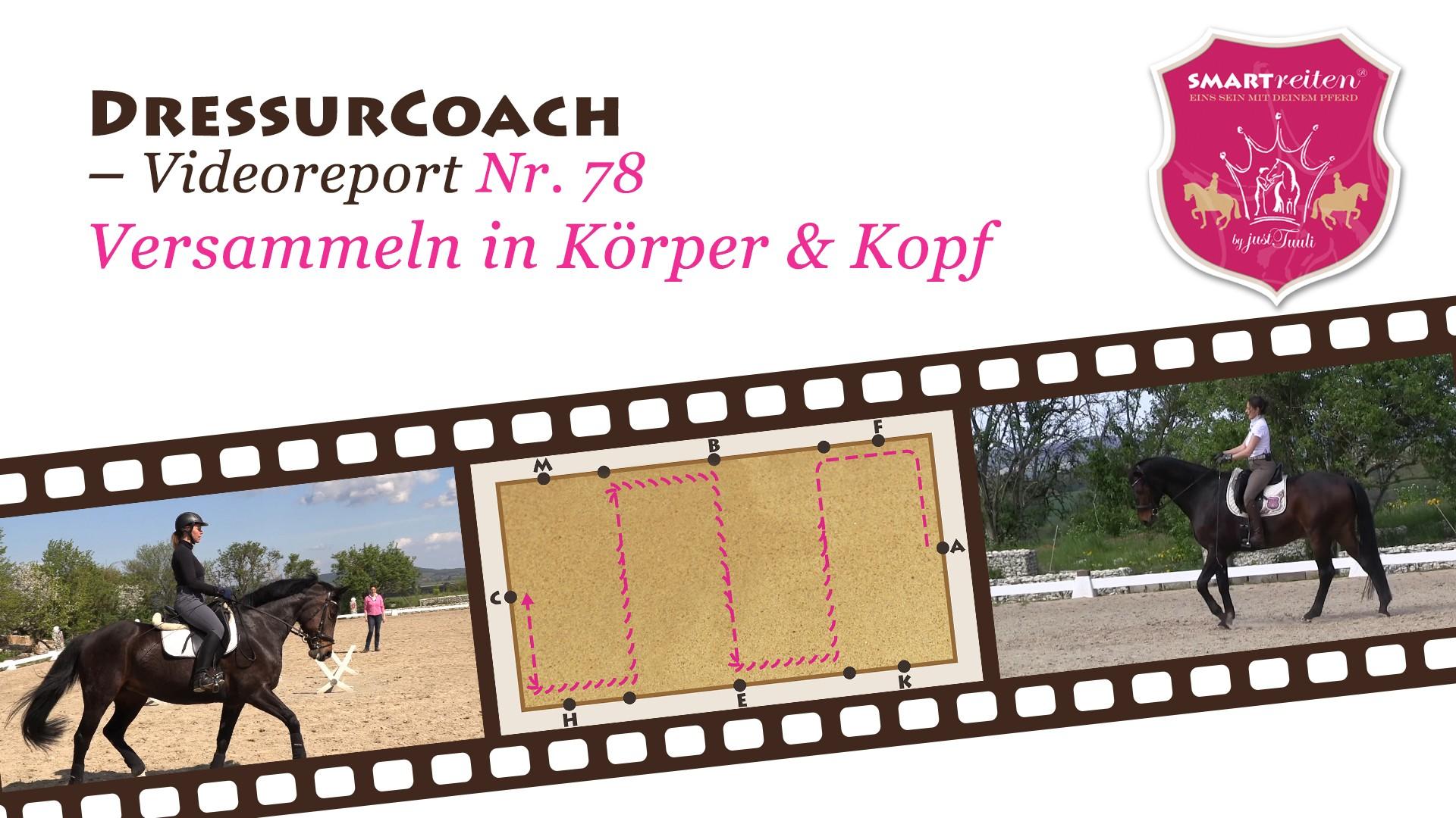 Versammeln in Körper & Kopf