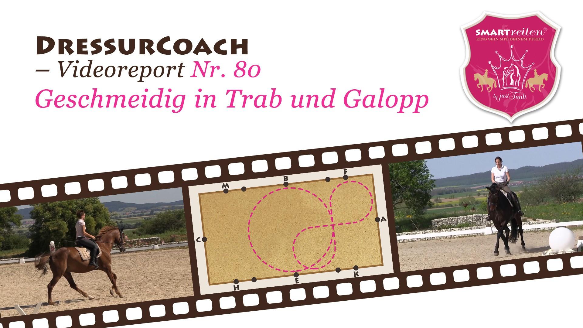 Geschmeidigkeit in Trab und Galopp