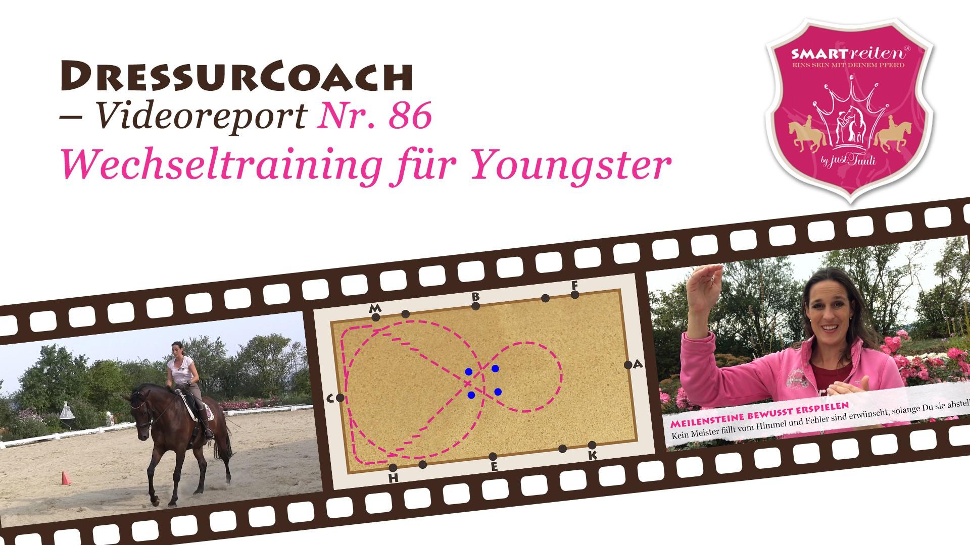 Wechseltraining für Youngster
