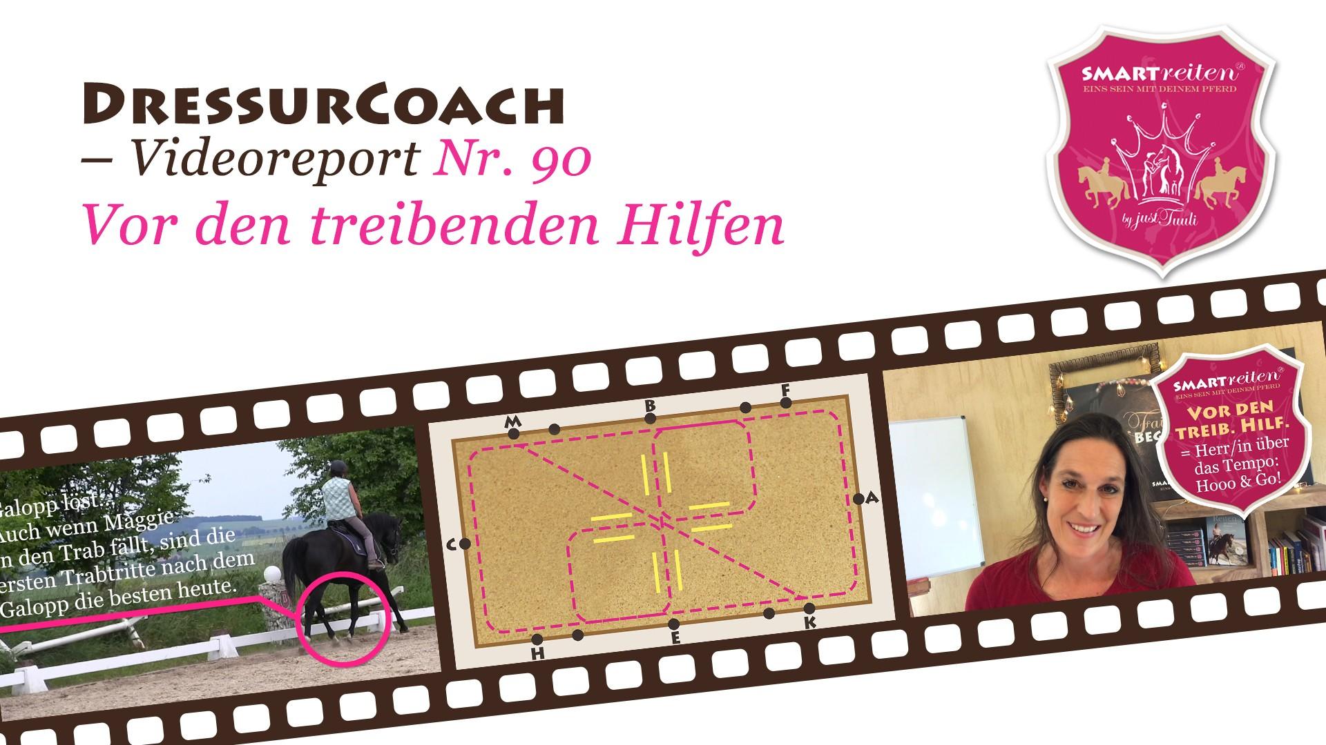 Vor den treibenden Hilfen