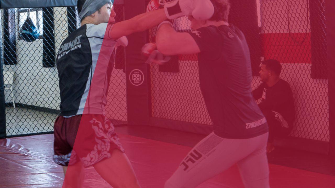 mma striking