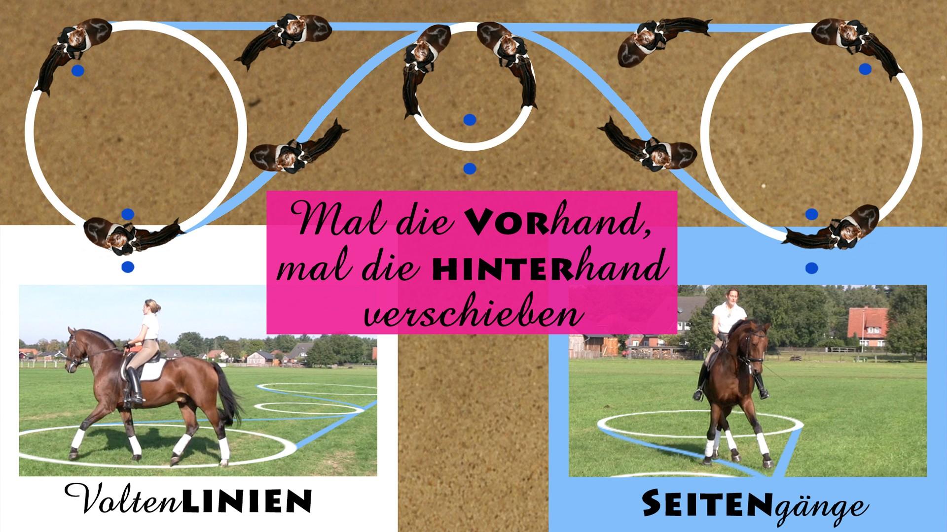 Der Rote Faden Fur Einen Pferdegerechten Trainingsplan