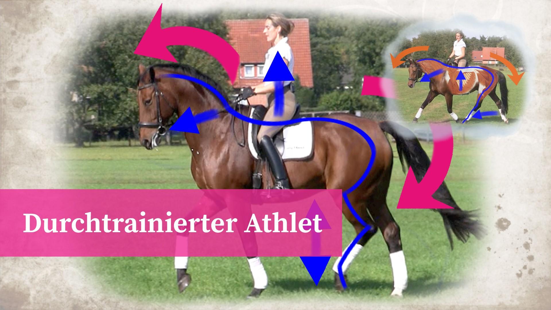 Durchtrainierter Athlet