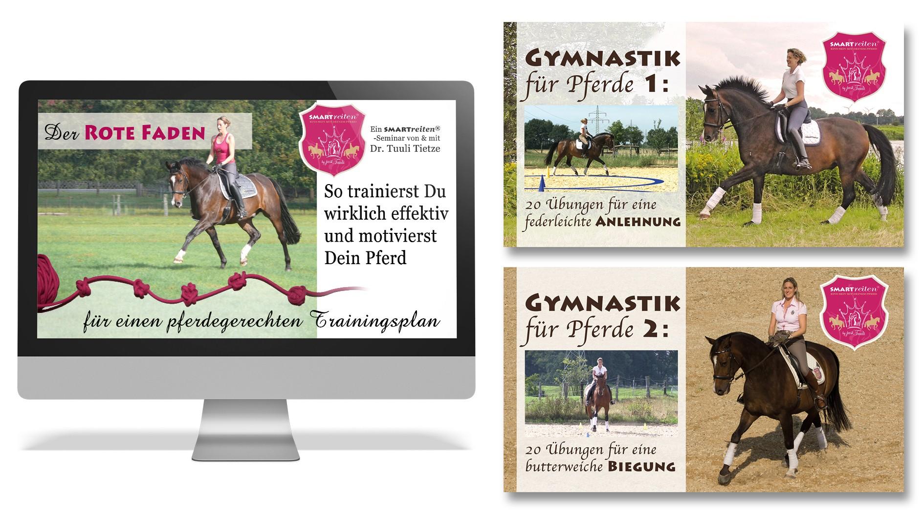 Der Rote Faden + 40 Übungen