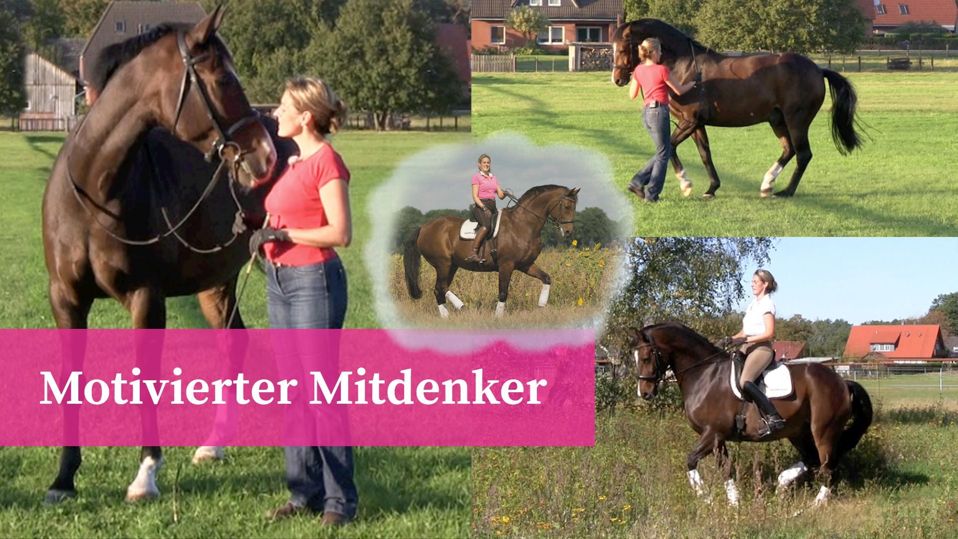 Motivierter mitdenker