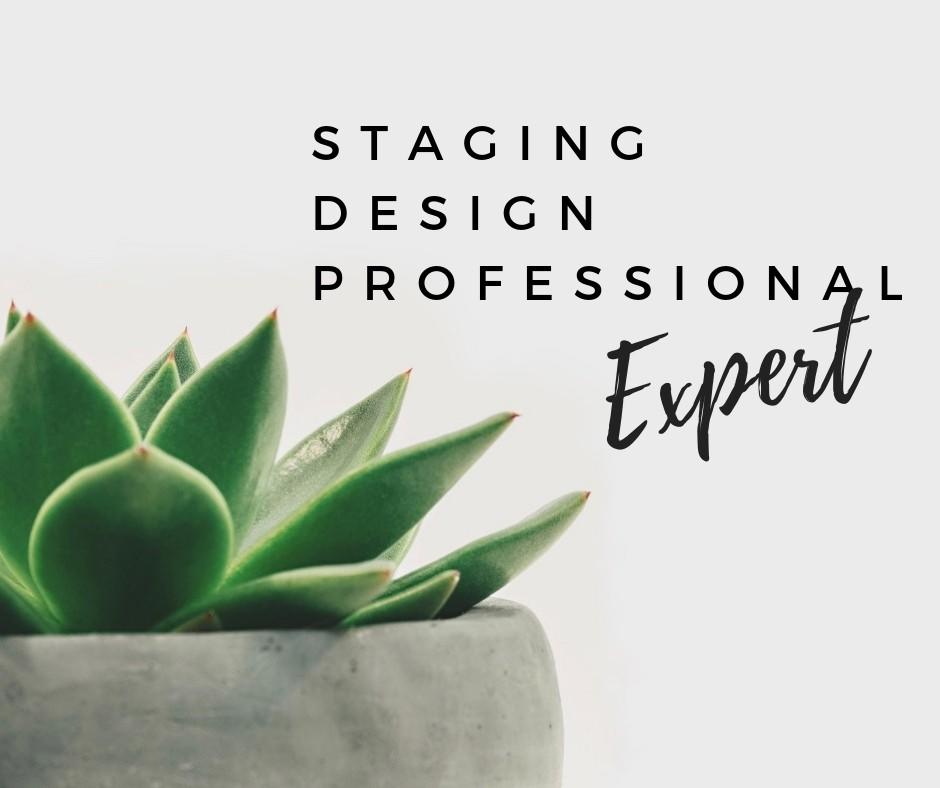 Staging Design Professional Expert