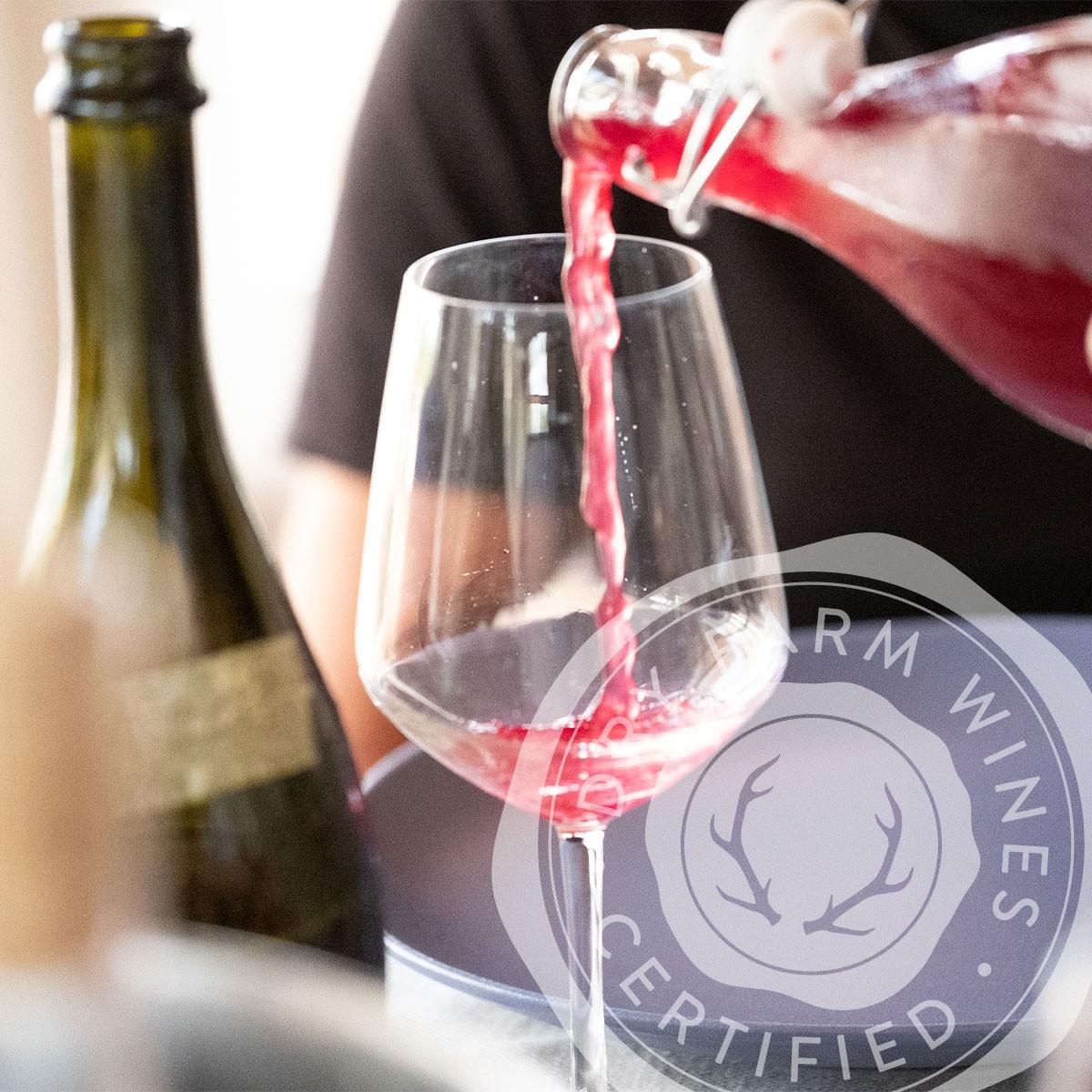 Dry Farm Wines
