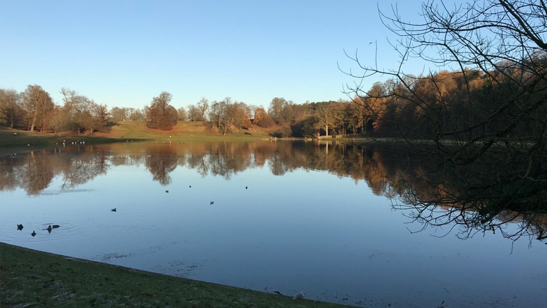 Reflections on the water at Studley Royal