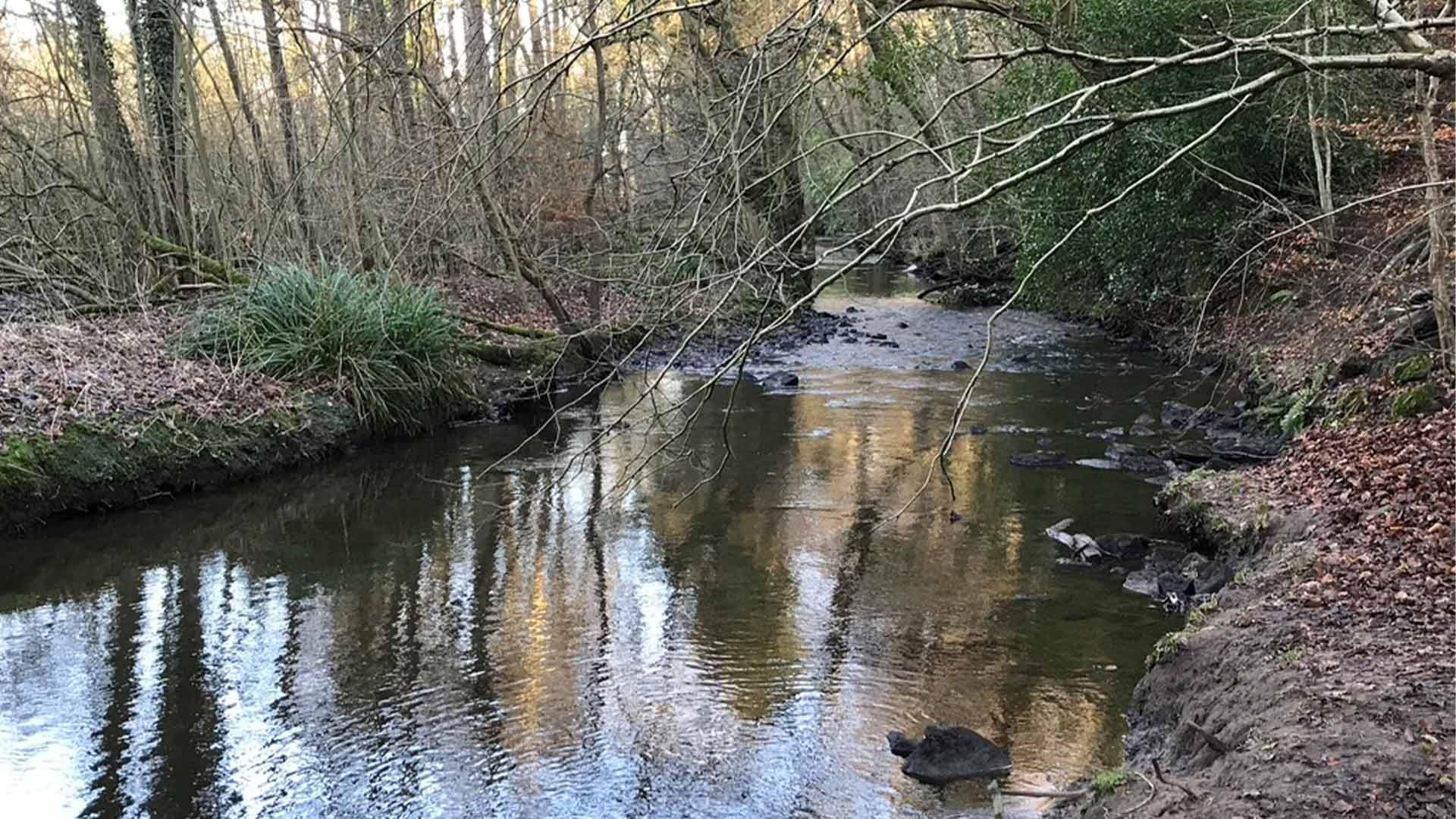 Saltergate Beck reflecting the morning sunlight