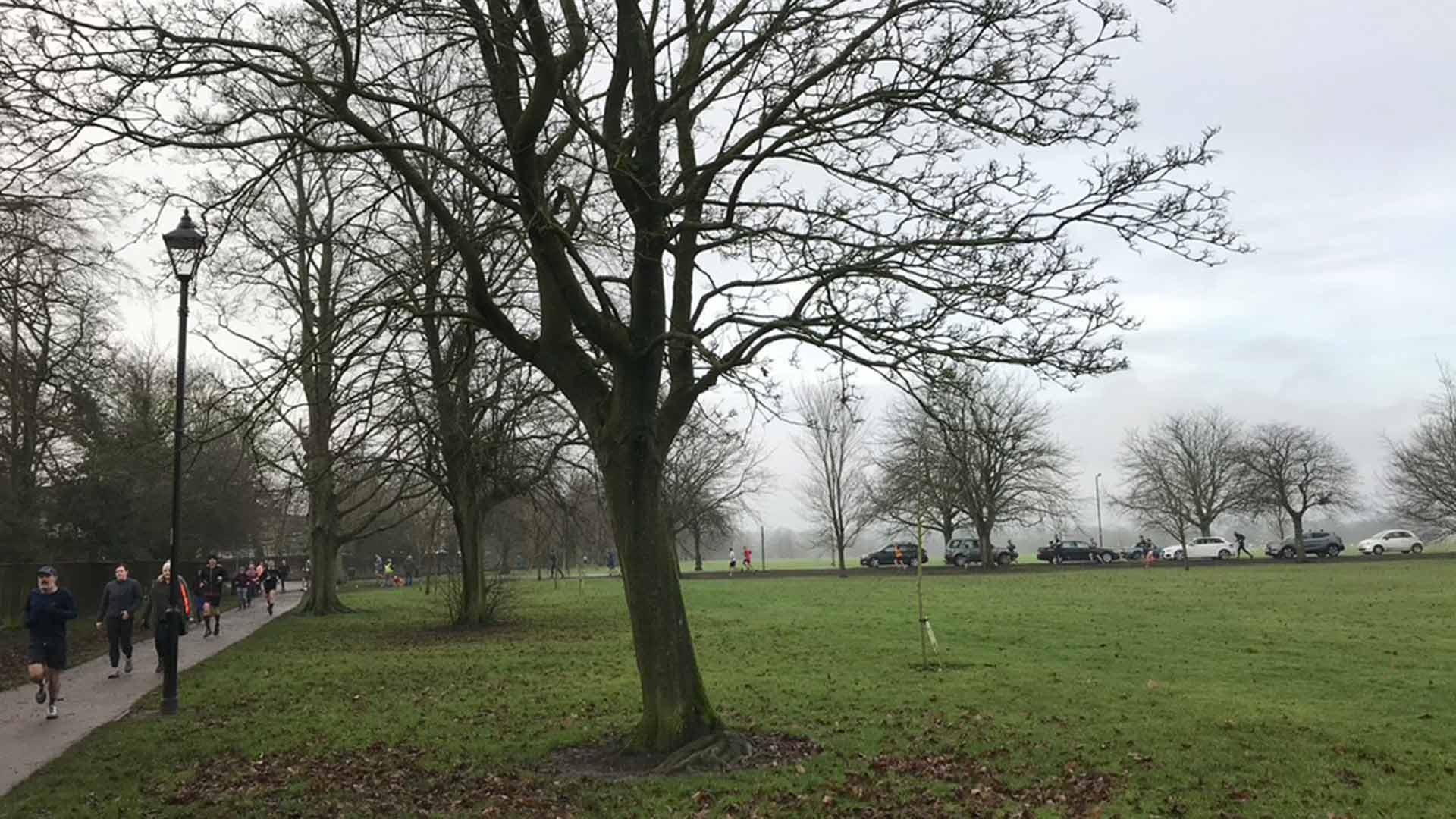 The Stray in Harrogate on a Saturday morning with the Park Run