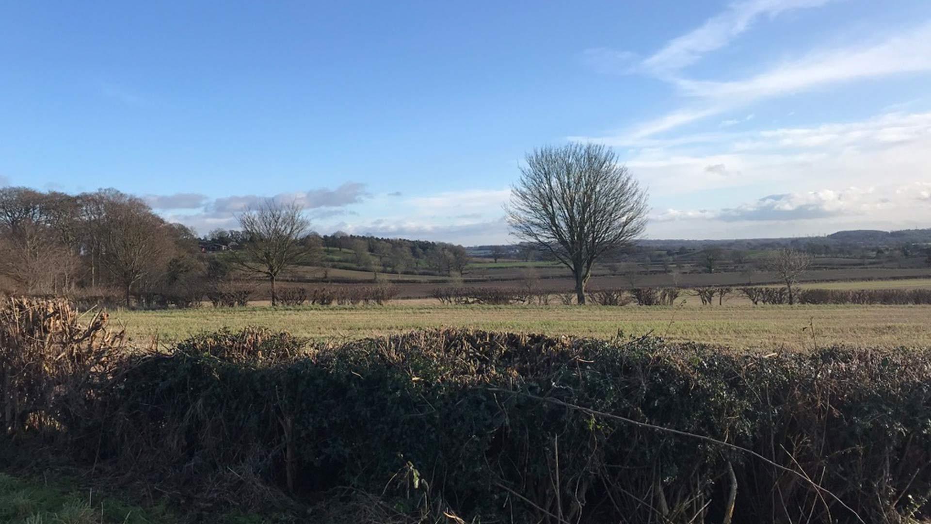 View across countryside