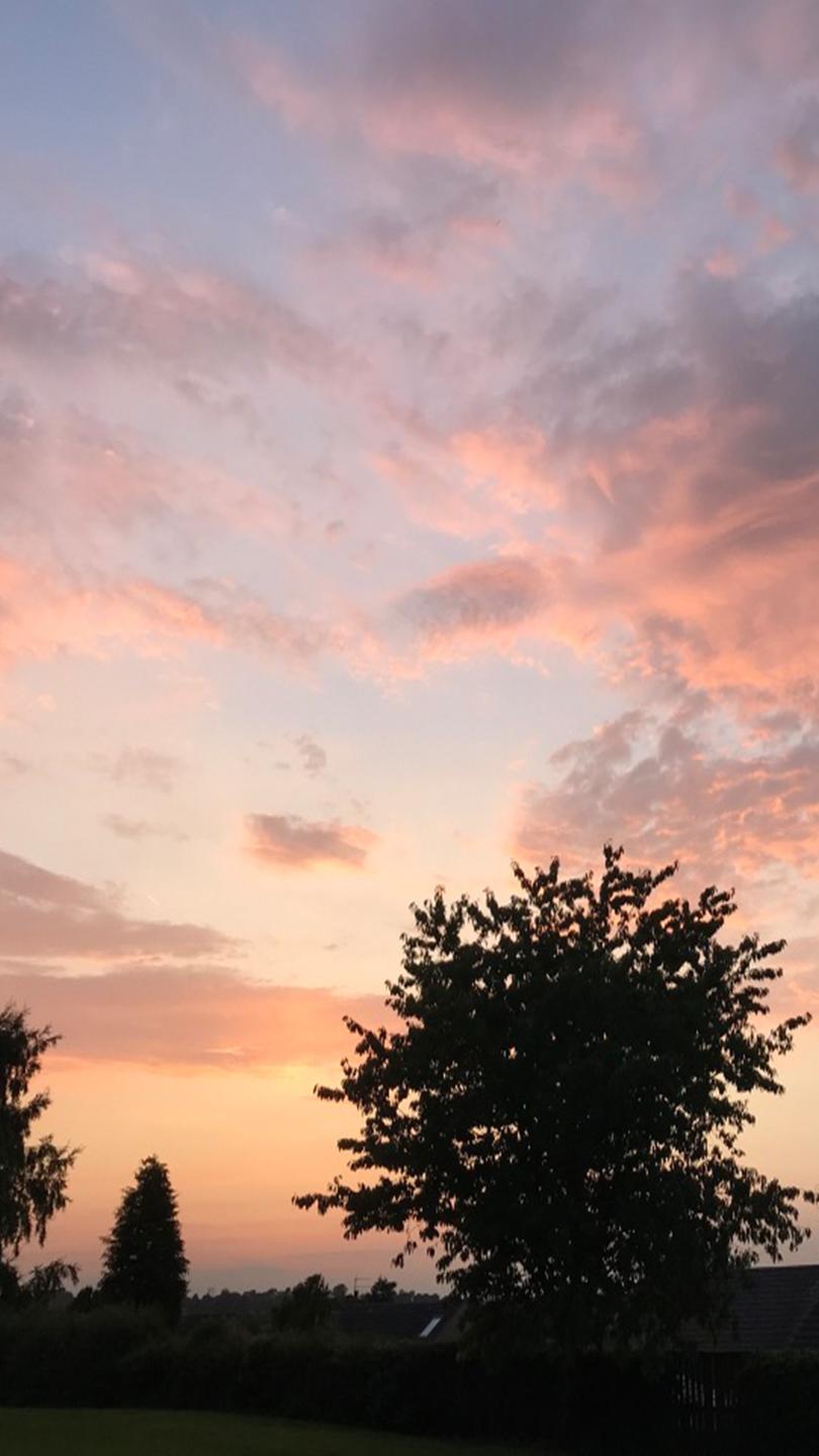 Winter sunset, pink sky