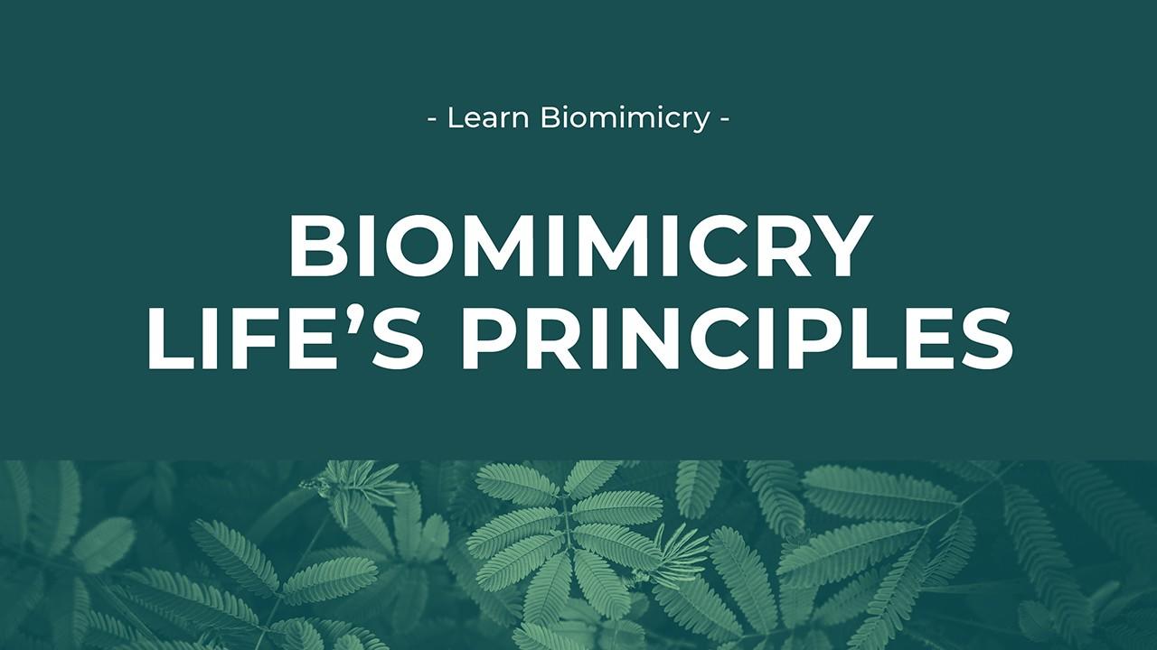 Life's Principles Image