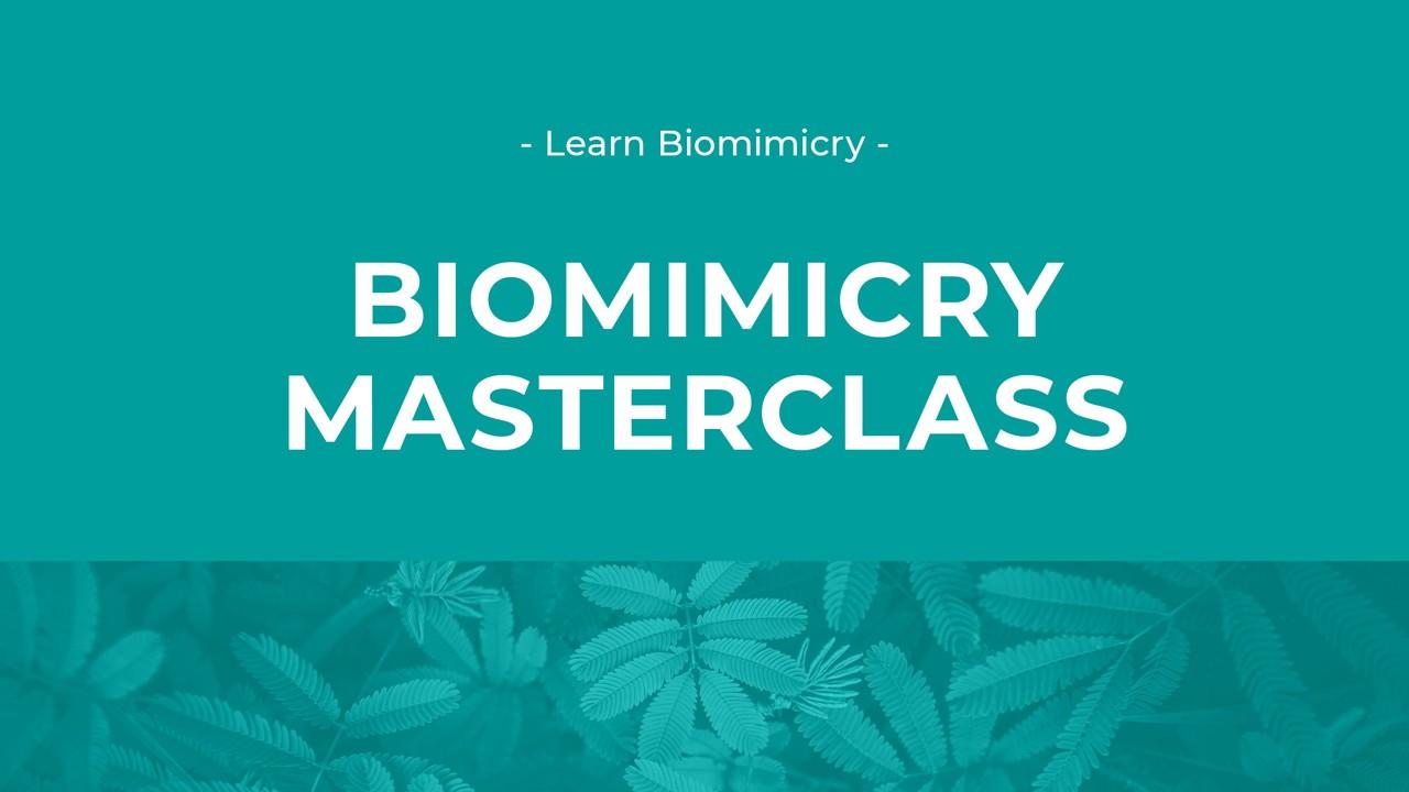 Biomimicry Masterclass image